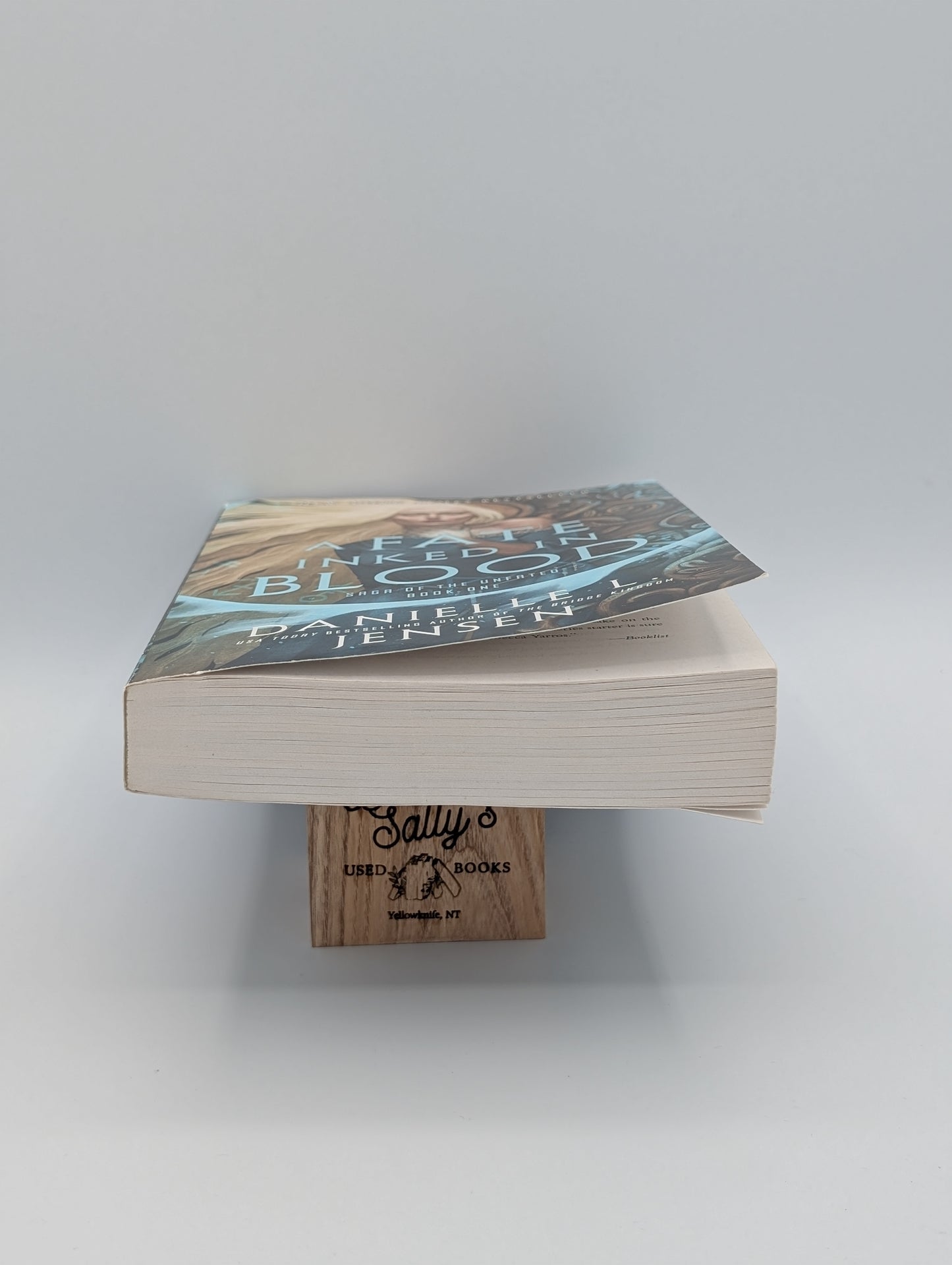 Un destin encré dans le sang : Livre un de la saga des malheureux