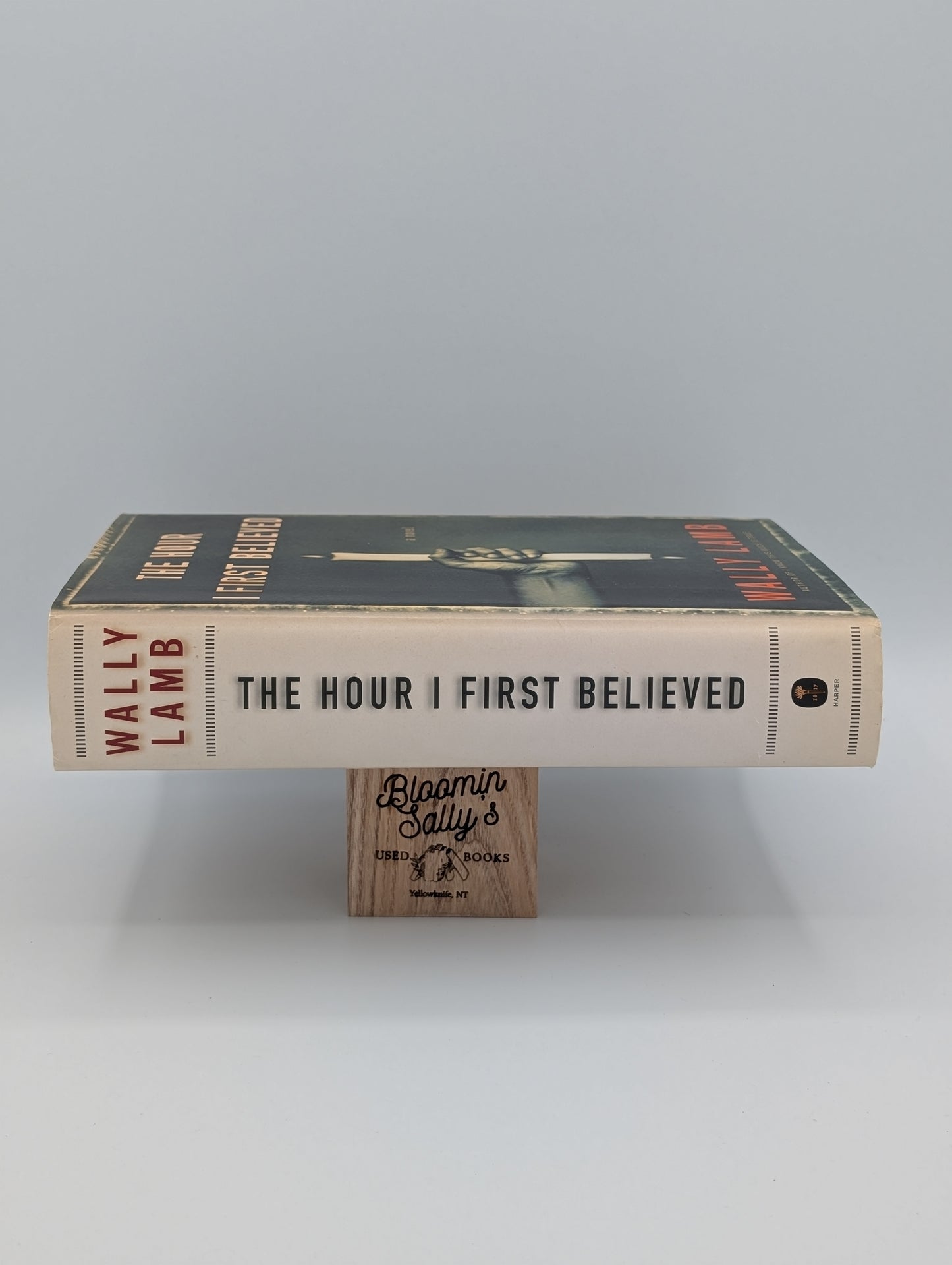 The Hour I First Believed