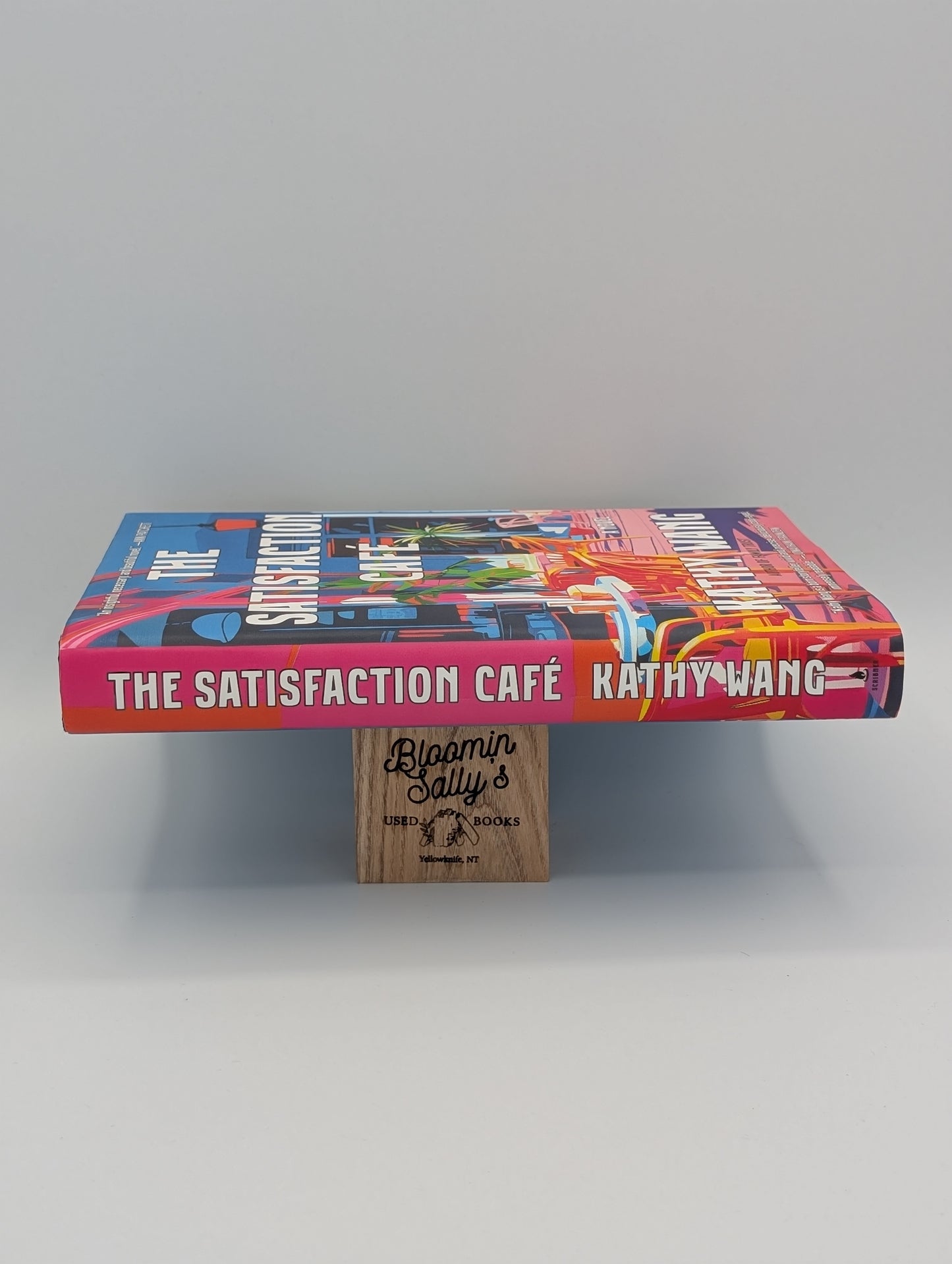 The Satisfaction Café: A Novel