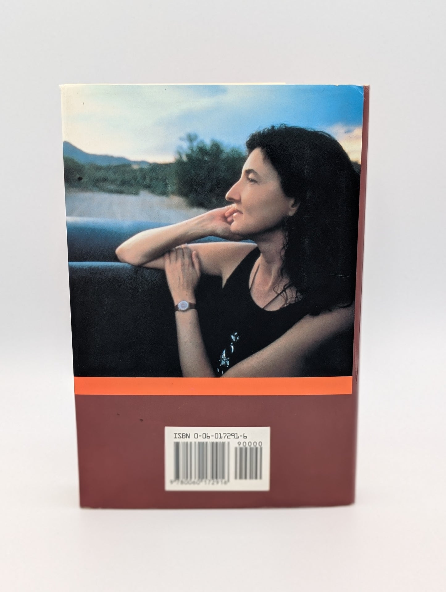 High Tide in Tucson: Essays from Now or Never