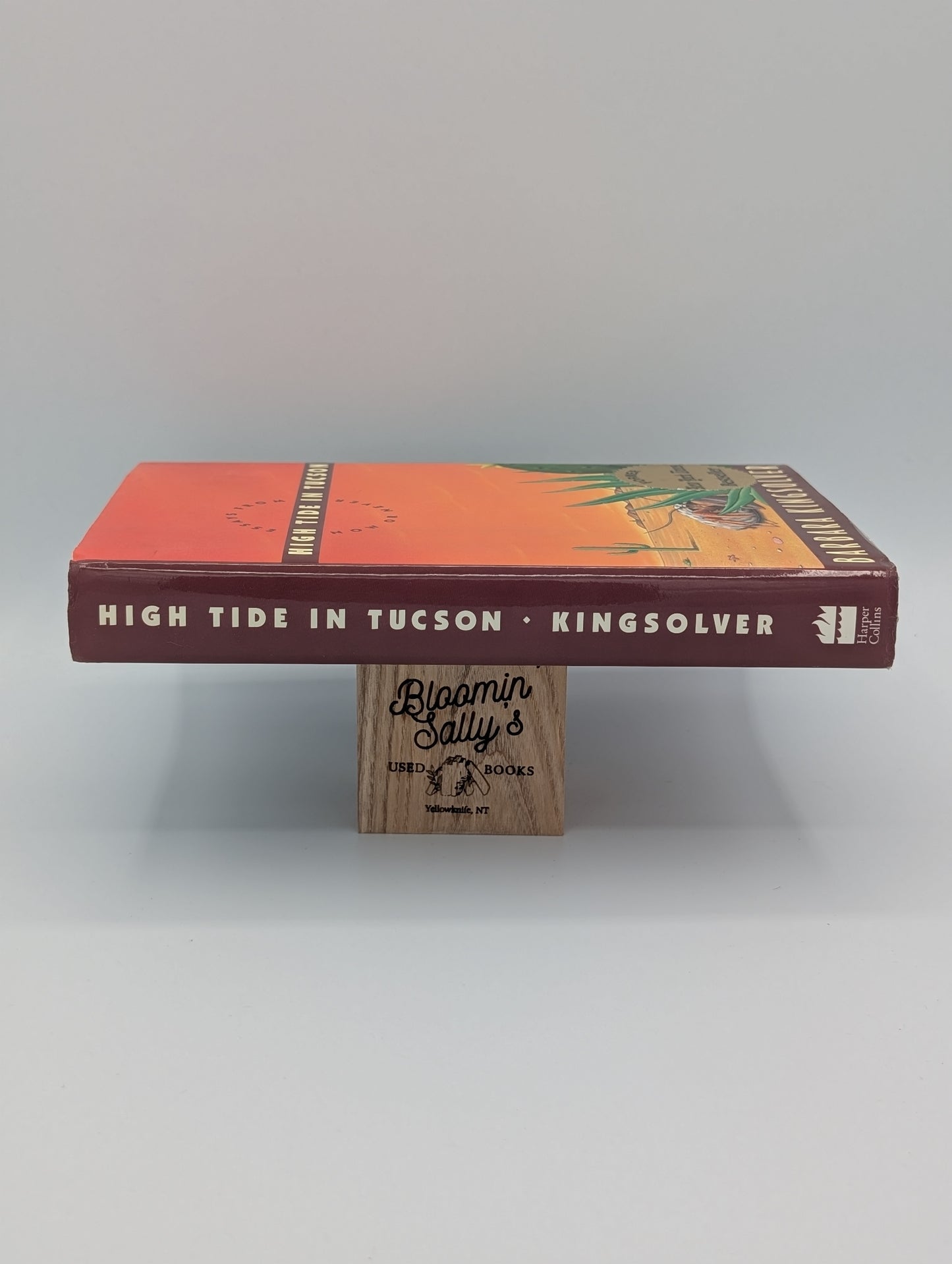 High Tide in Tucson: Essays from Now or Never
