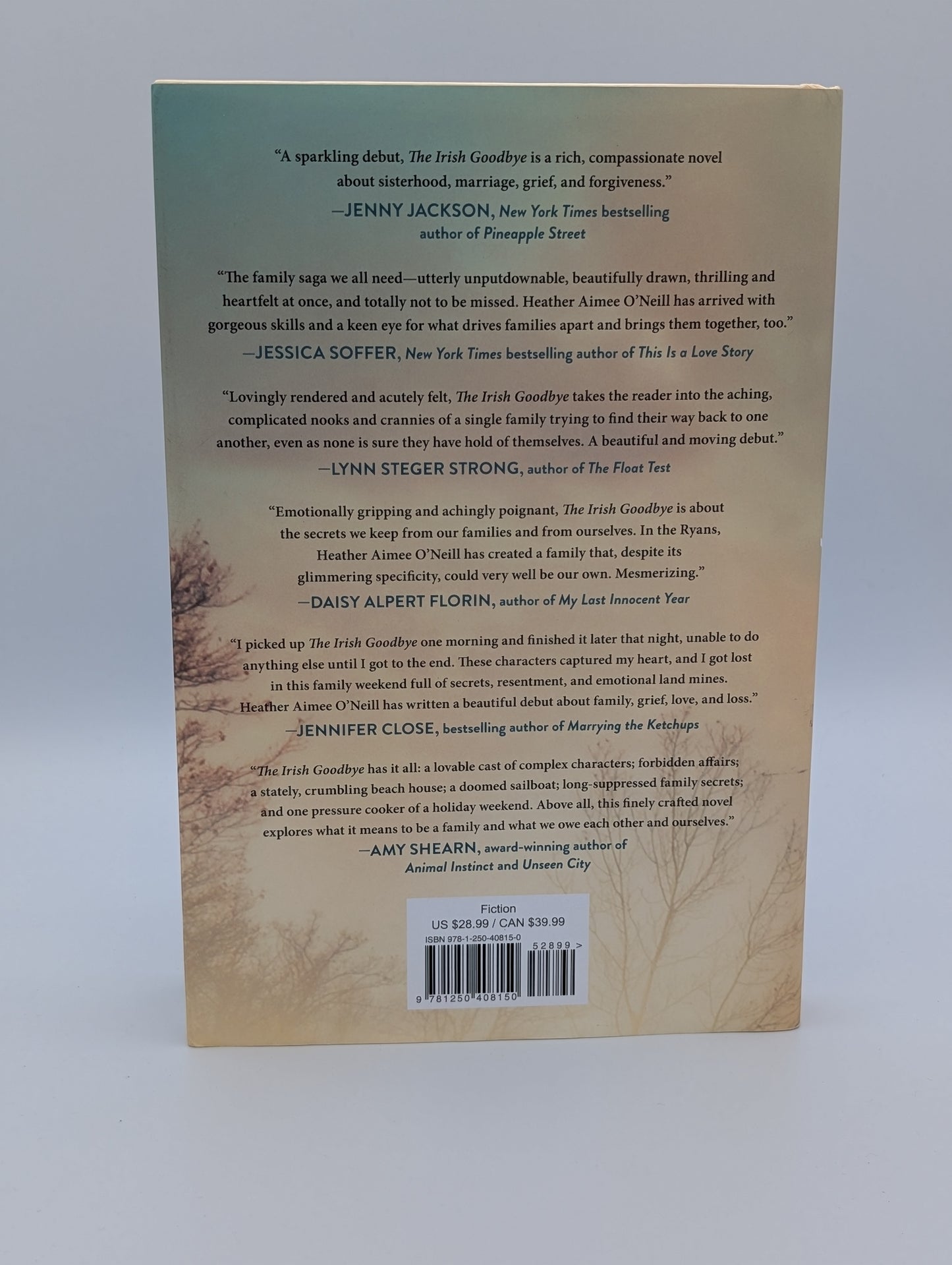 The Irish Goodbye: A Novel