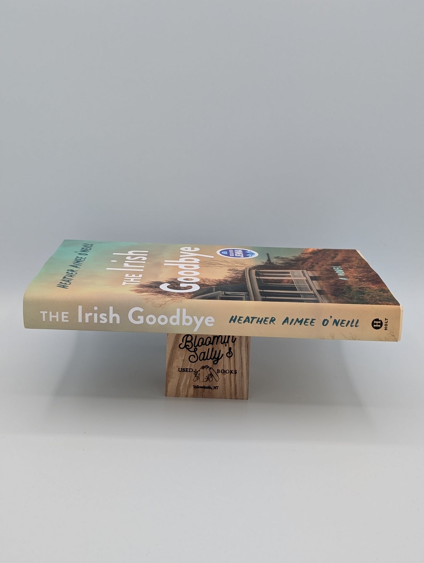 The Irish Goodbye: A Novel