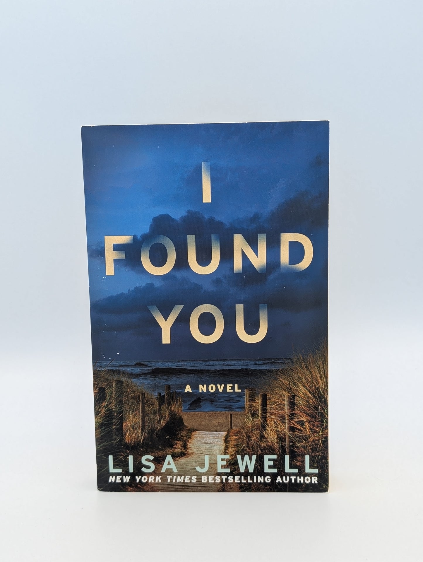 I Found You: A Novel