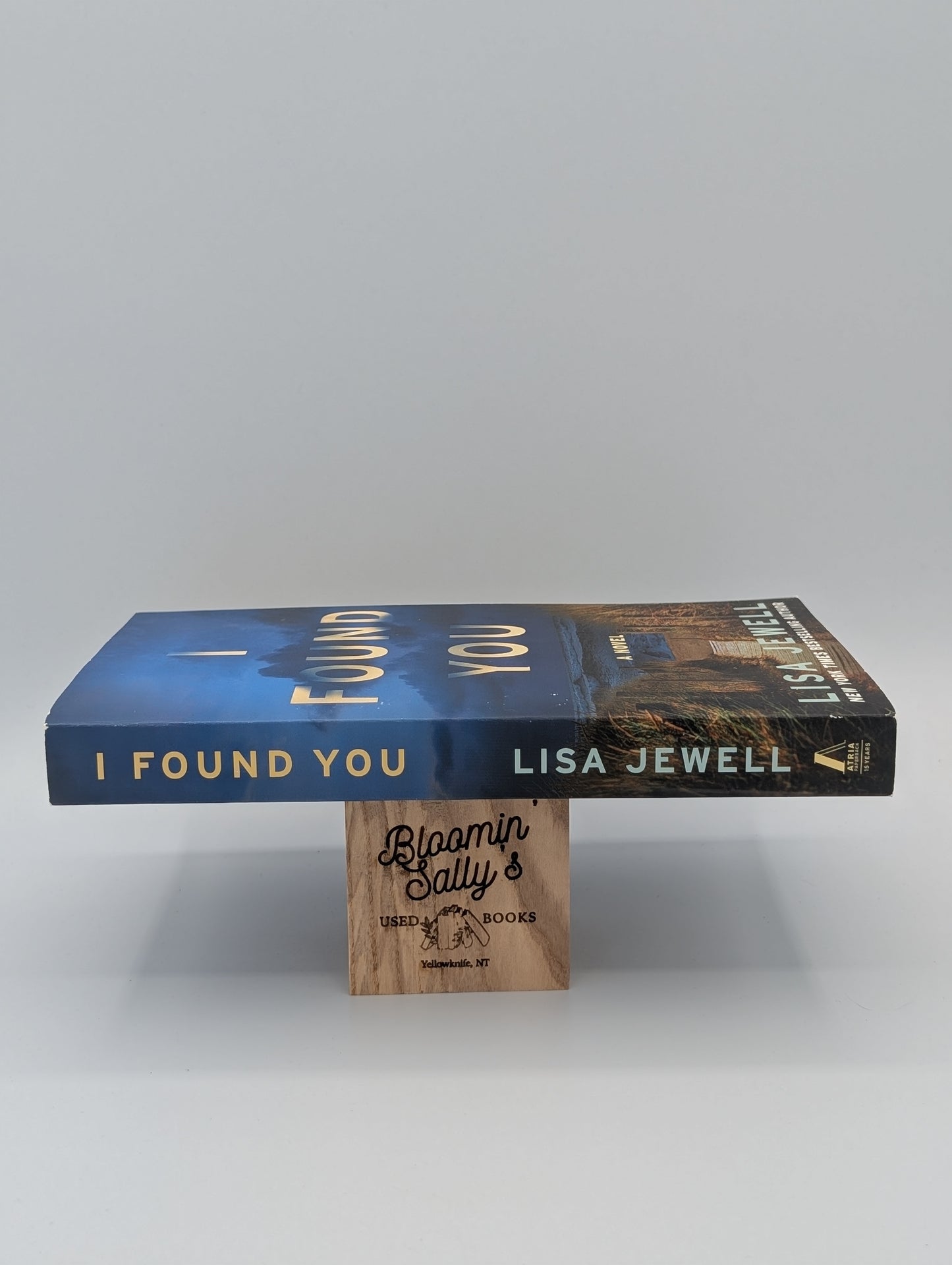I Found You: A Novel