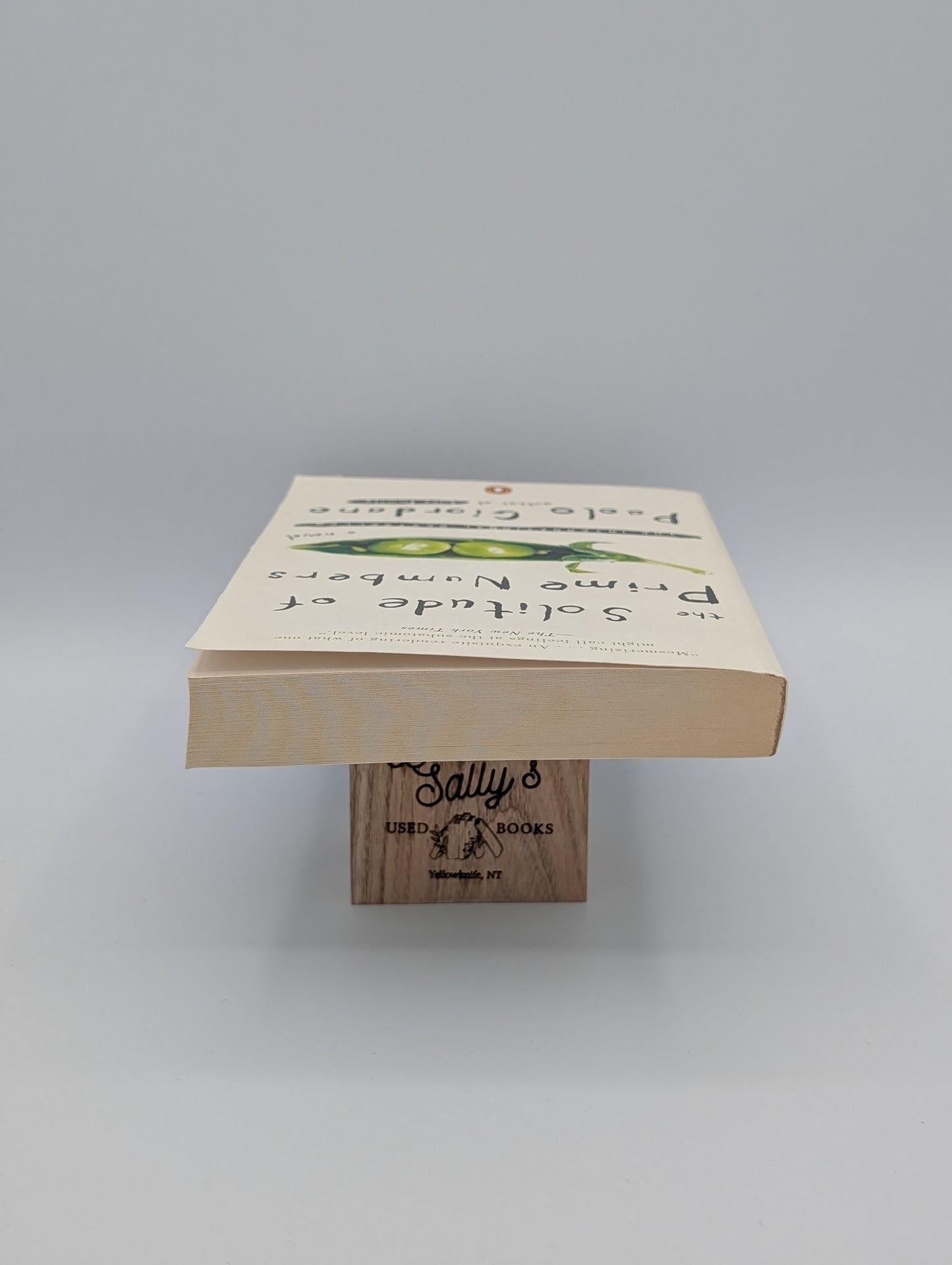 The Solitude of Prime Numbers: A Novel
