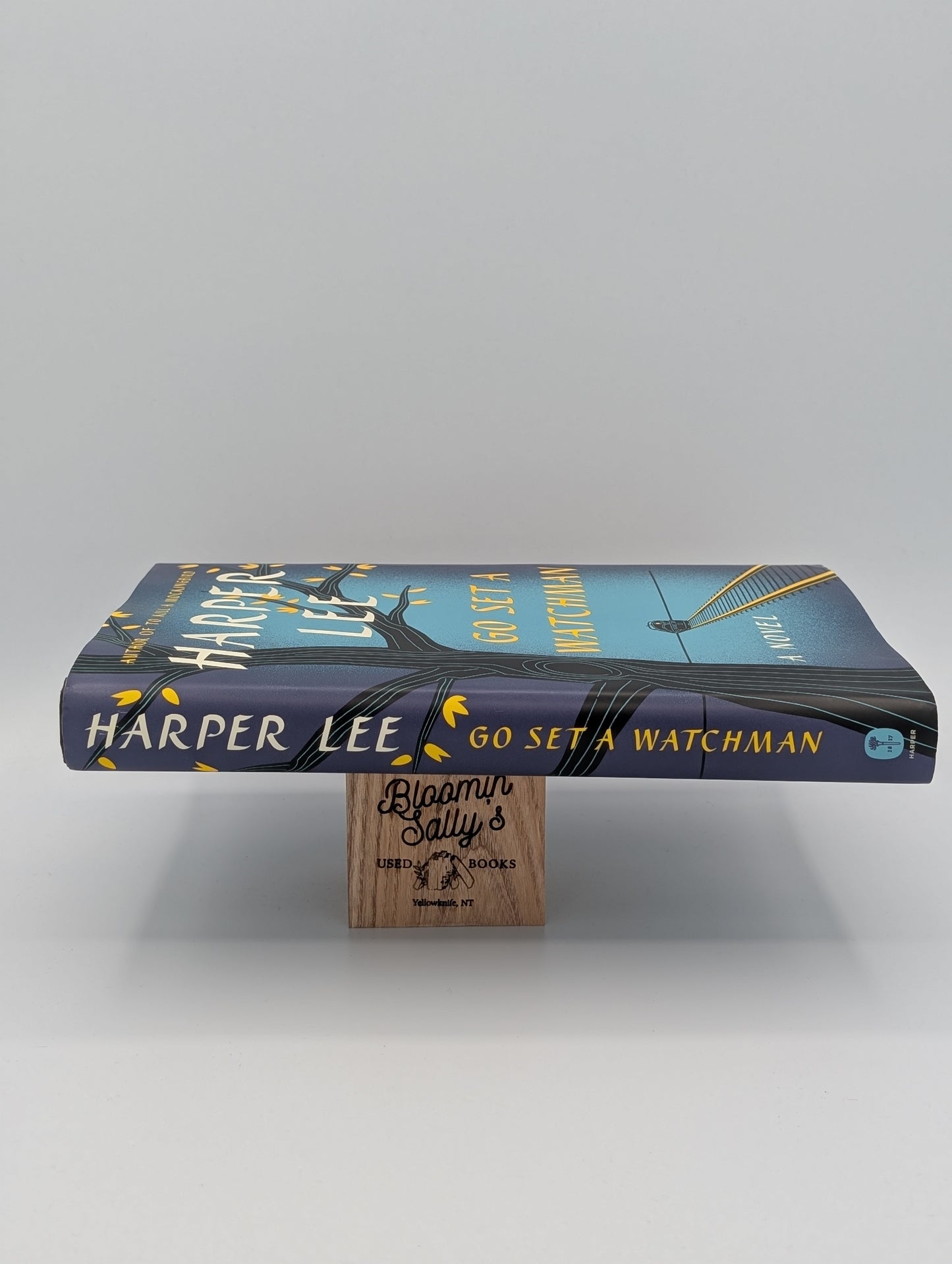 Go Set a Watchman: A Novel