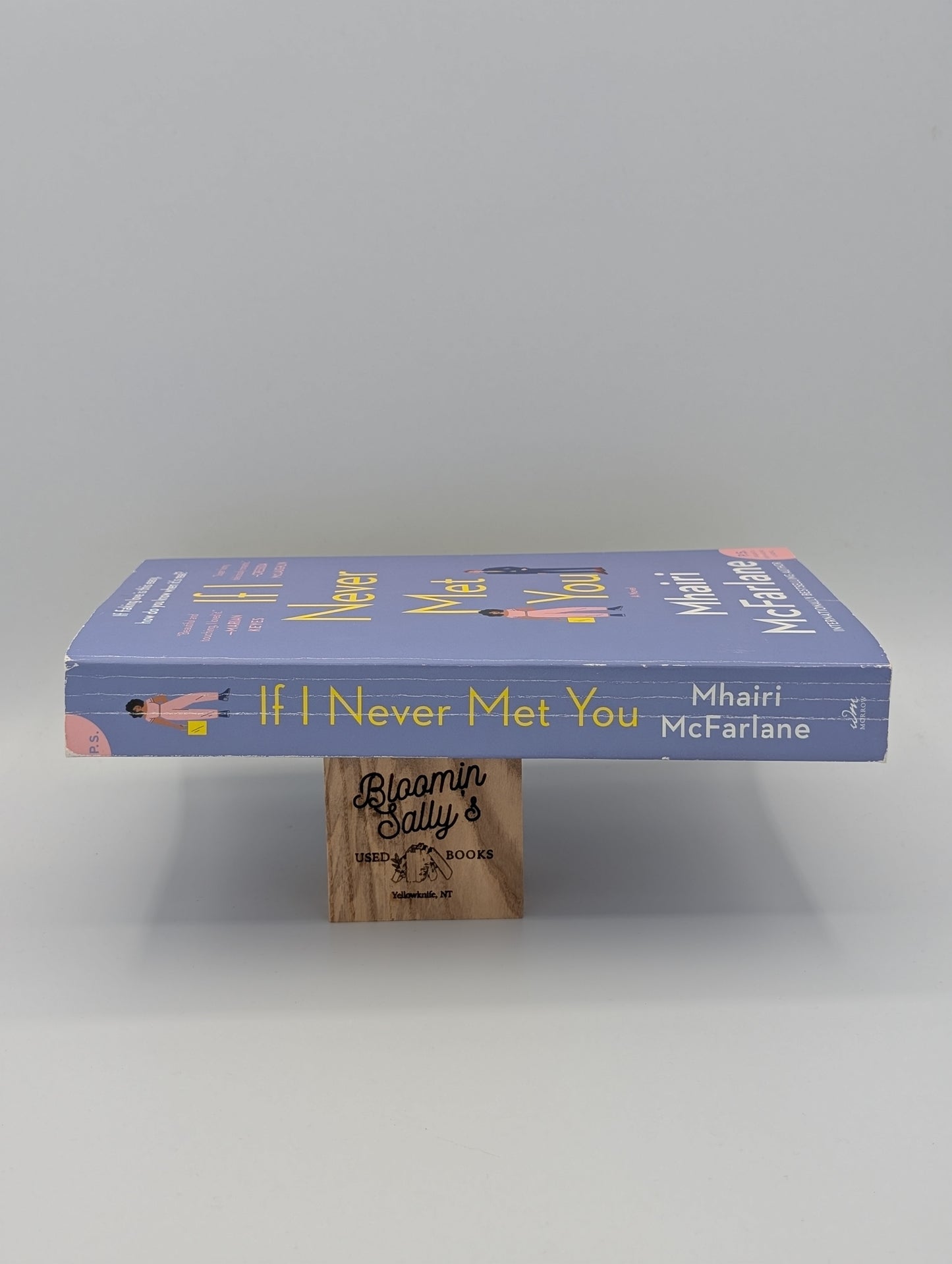 If I Never Met You: A Novel