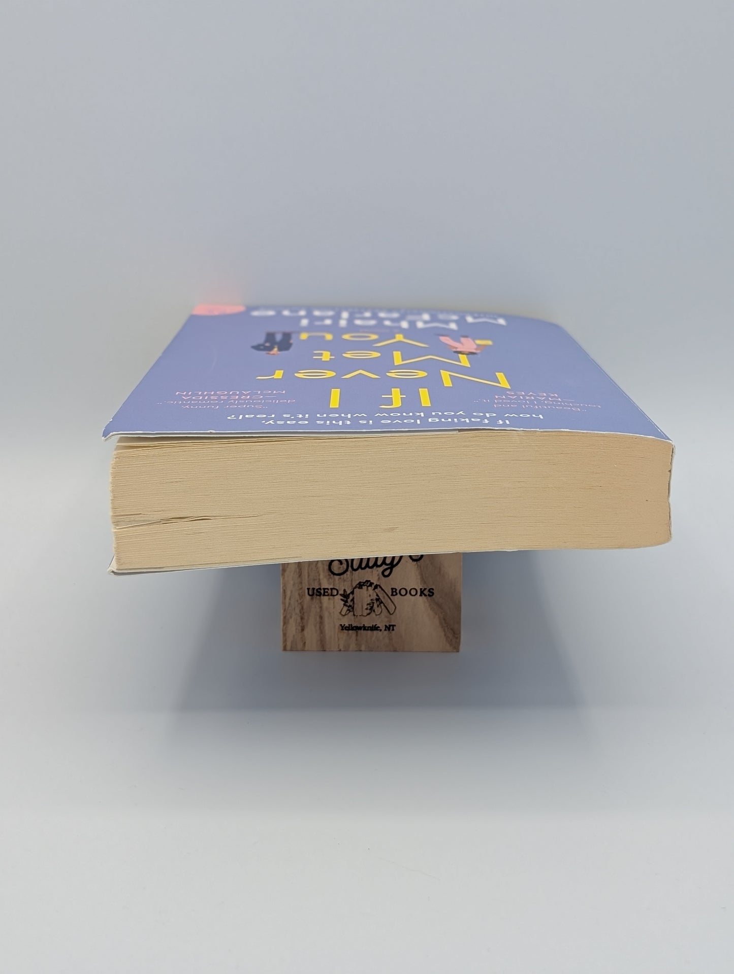 If I Never Met You: A Novel