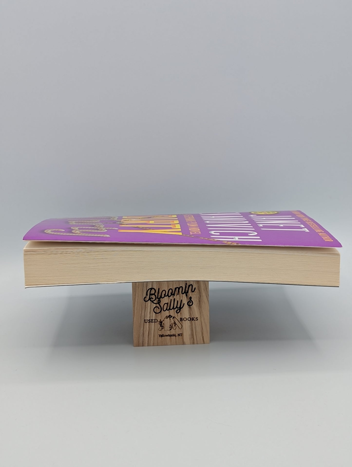 Dirty Thirty (Volume 30) (Stephanie Plum)