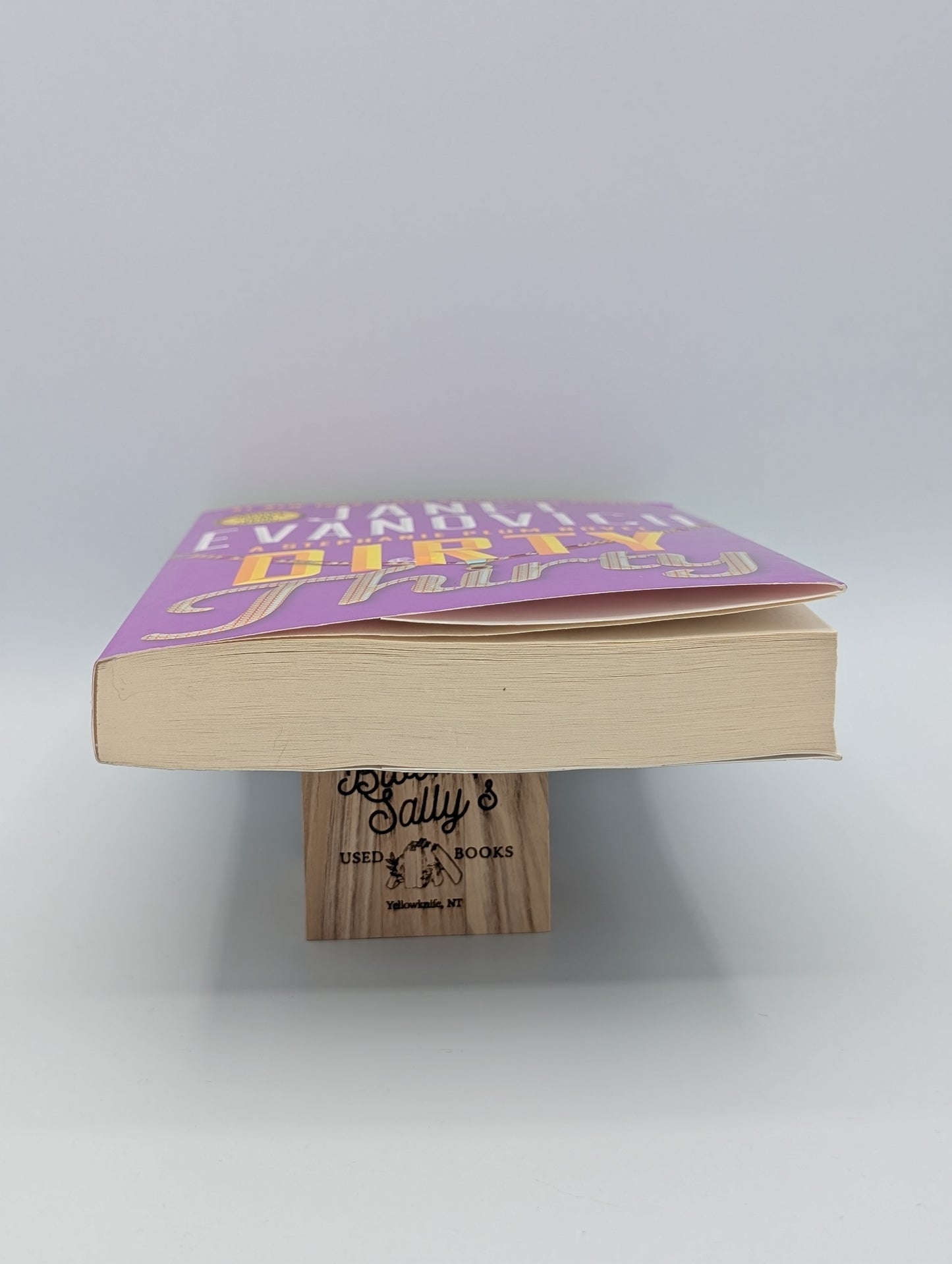 Dirty Thirty (Volume 30) (Stephanie Plum)