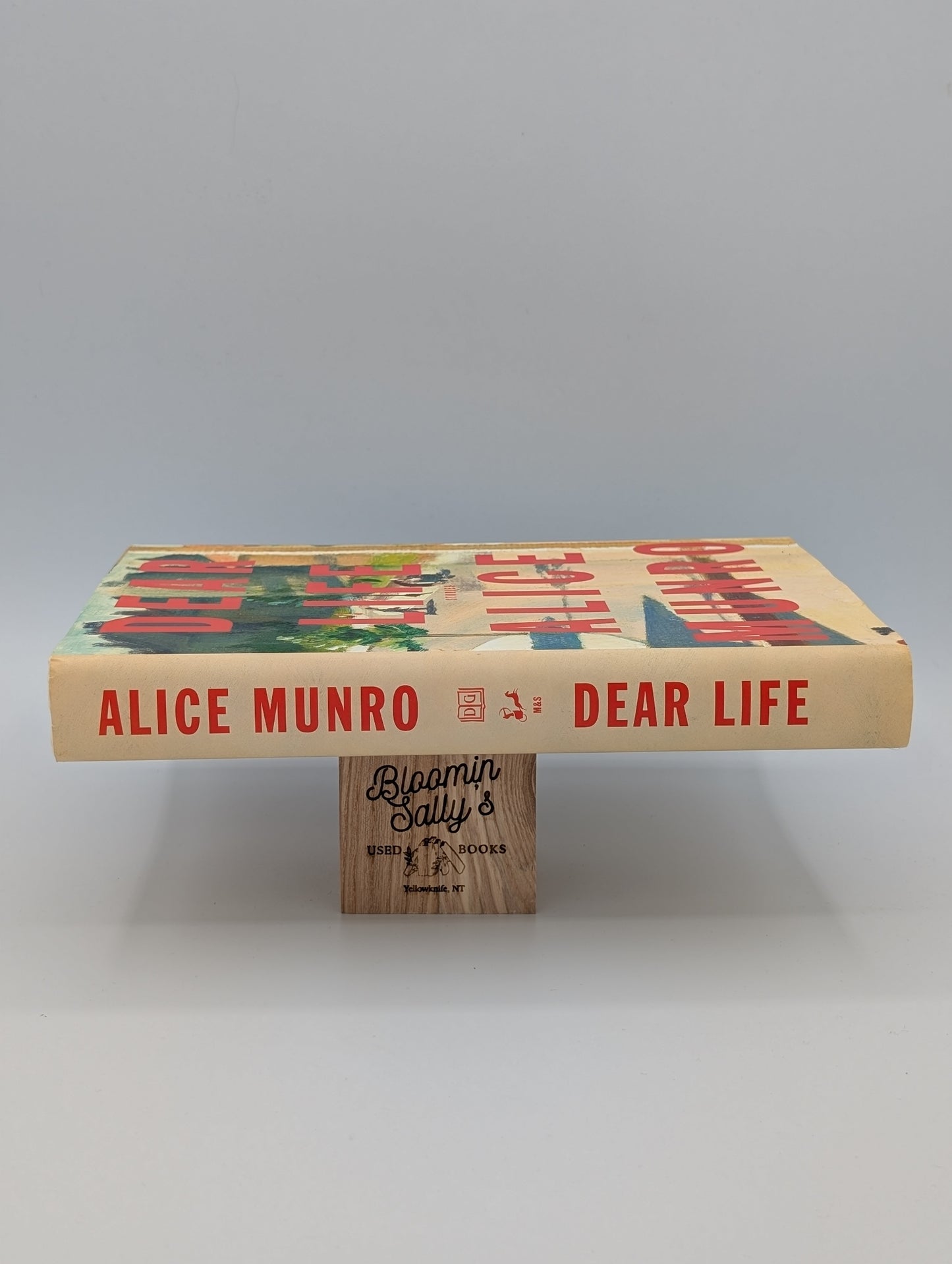 Dear Life: Stories