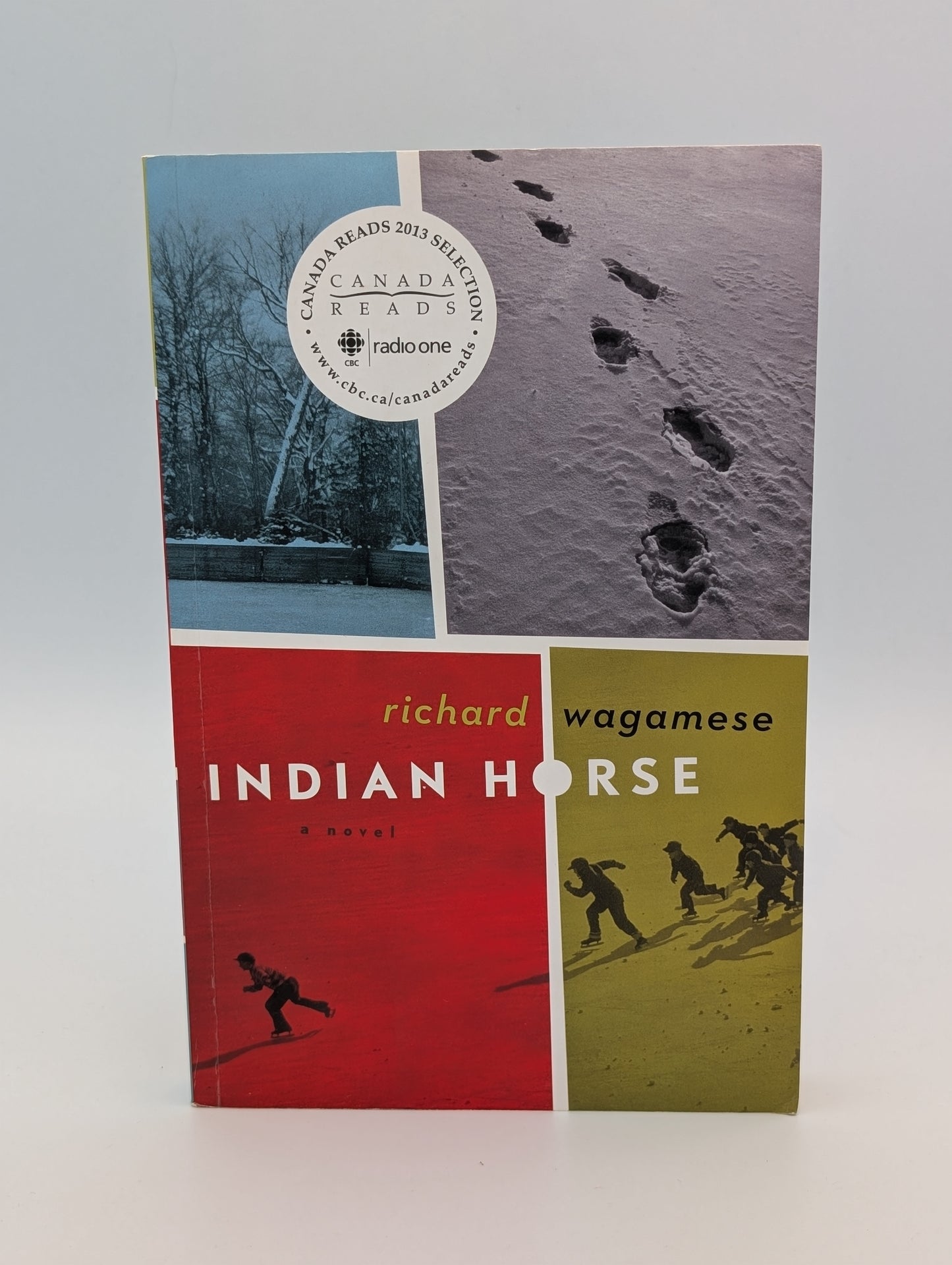 Indian Horse
