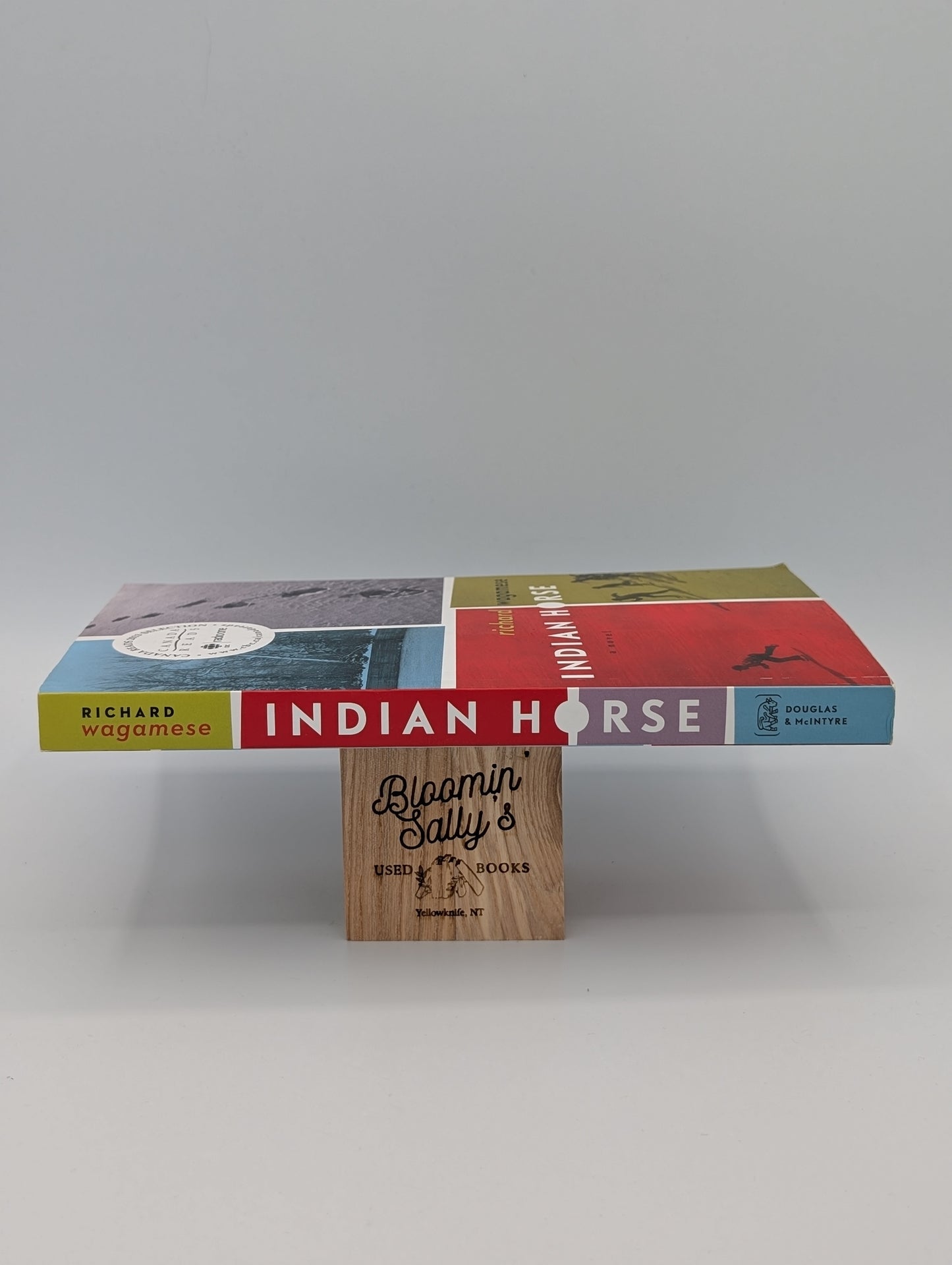 Indian Horse