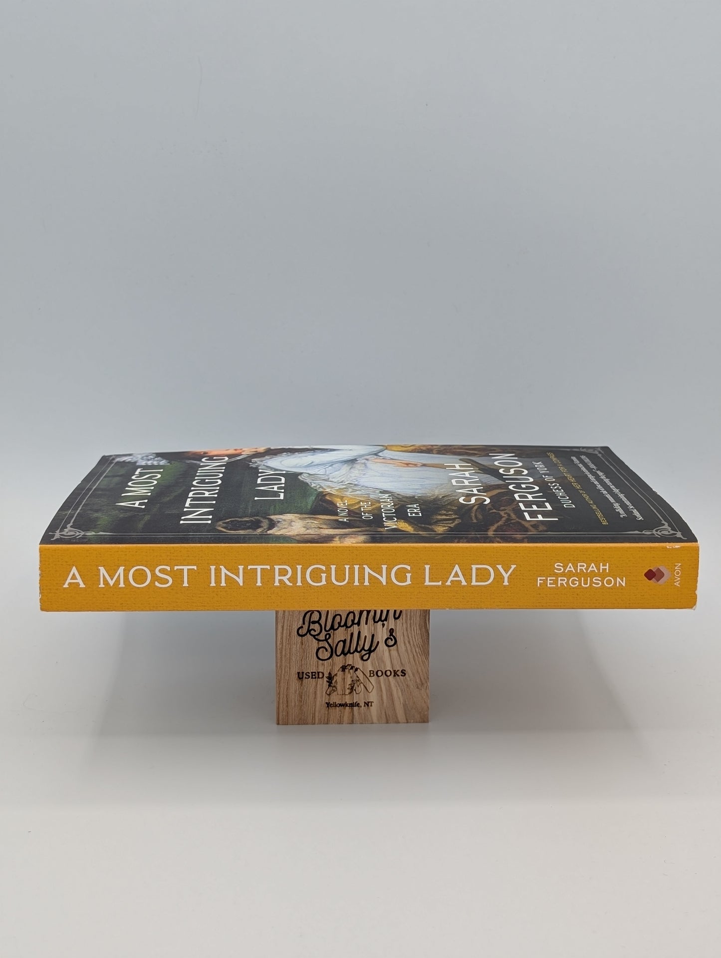 A Most Intriguing Lady: A Novel