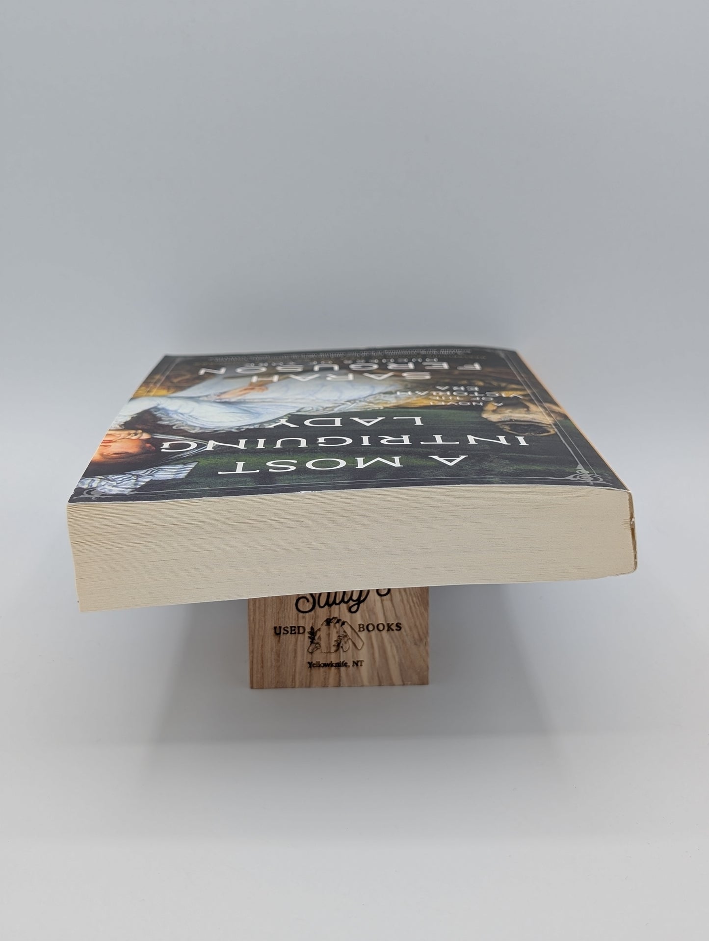 A Most Intriguing Lady: A Novel
