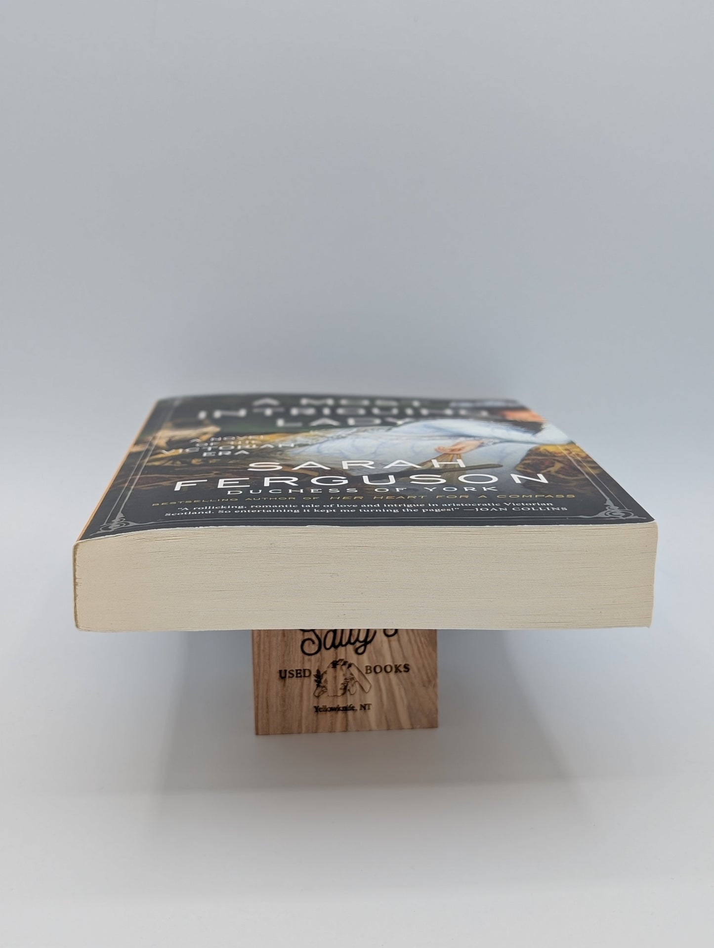 A Most Intriguing Lady: A Novel