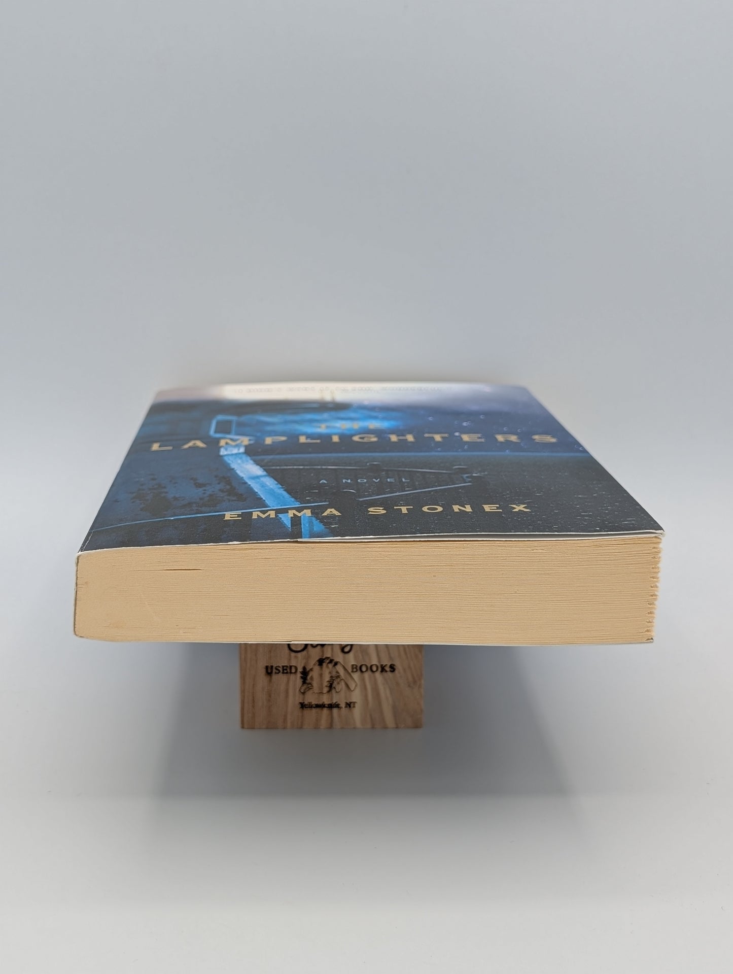 The Lamplighters: A Novel
