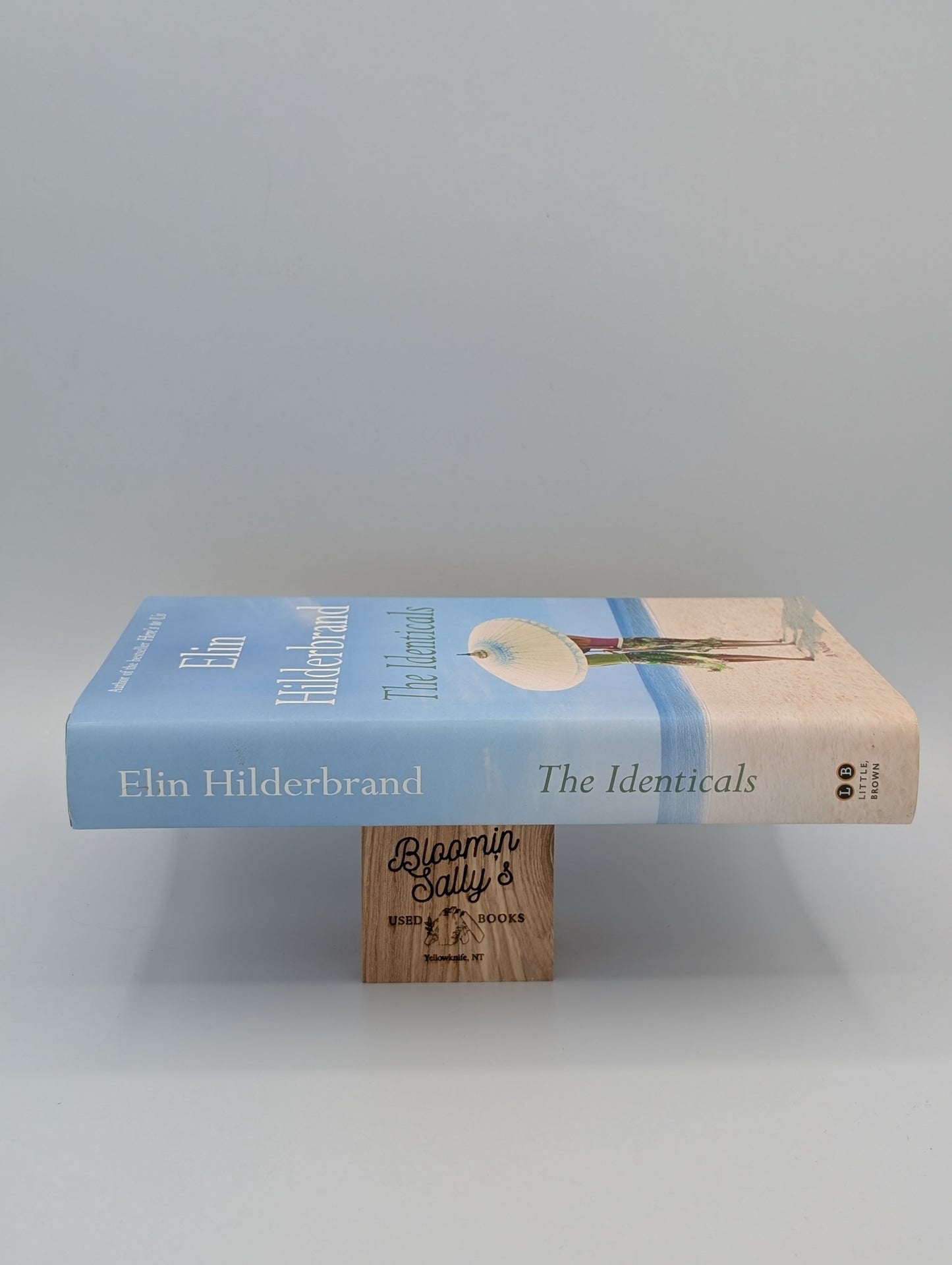 The Identicals: A Novel