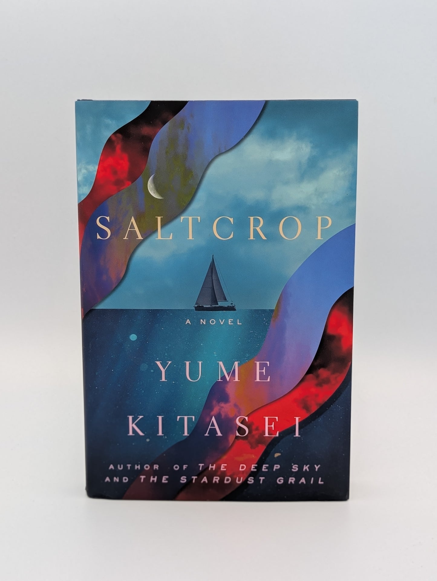 Saltcrop: A Novel