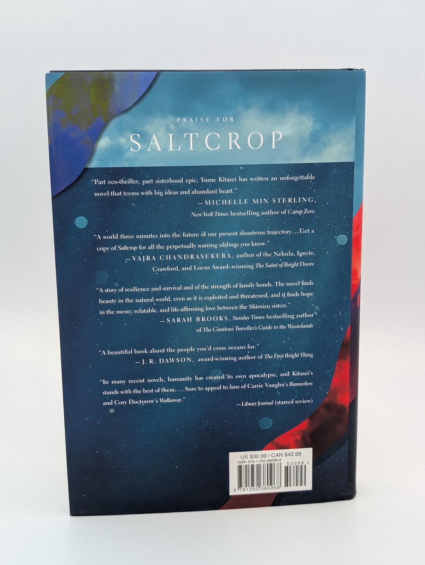 Saltcrop: A Novel
