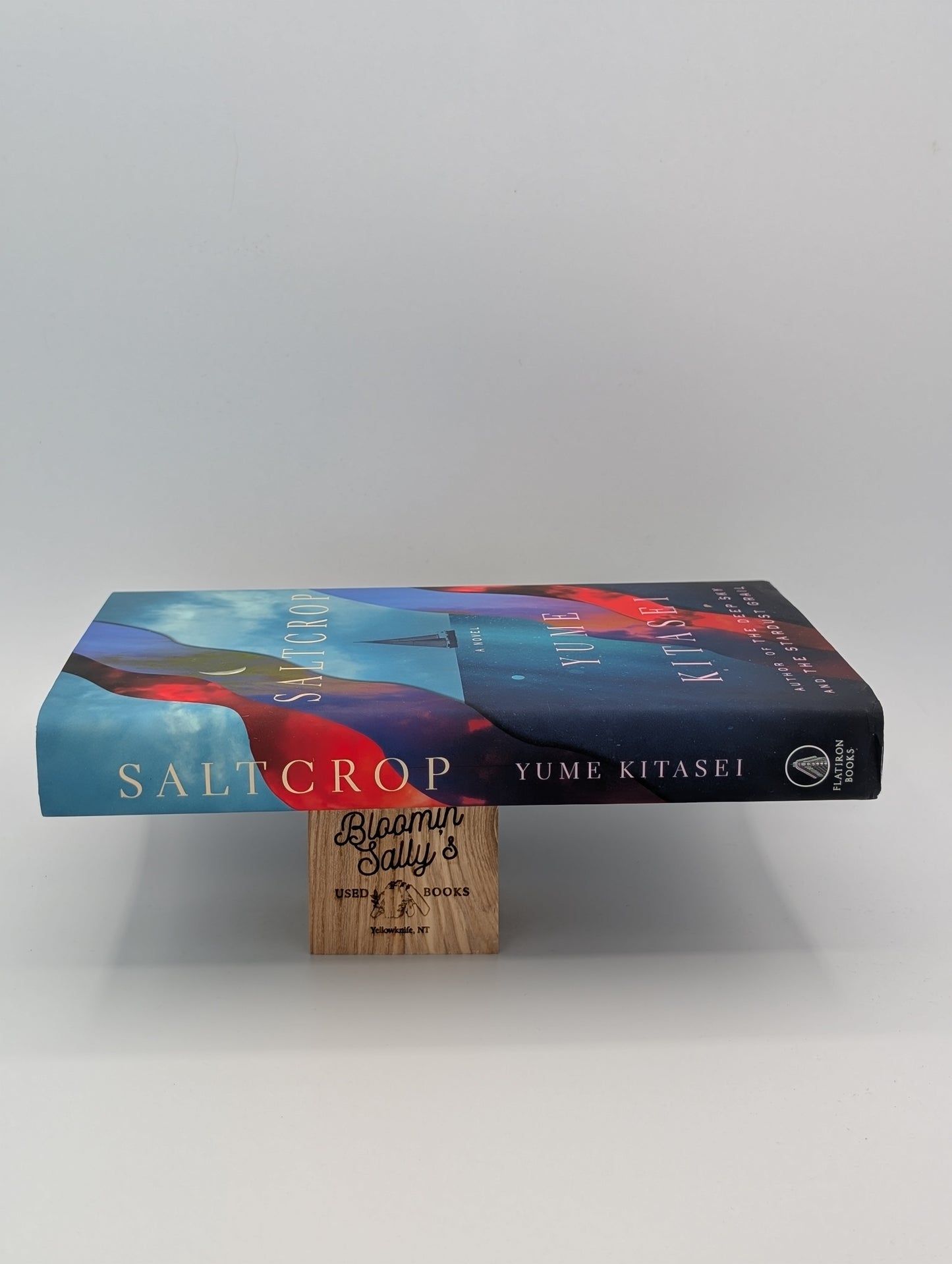 Saltcrop: A Novel