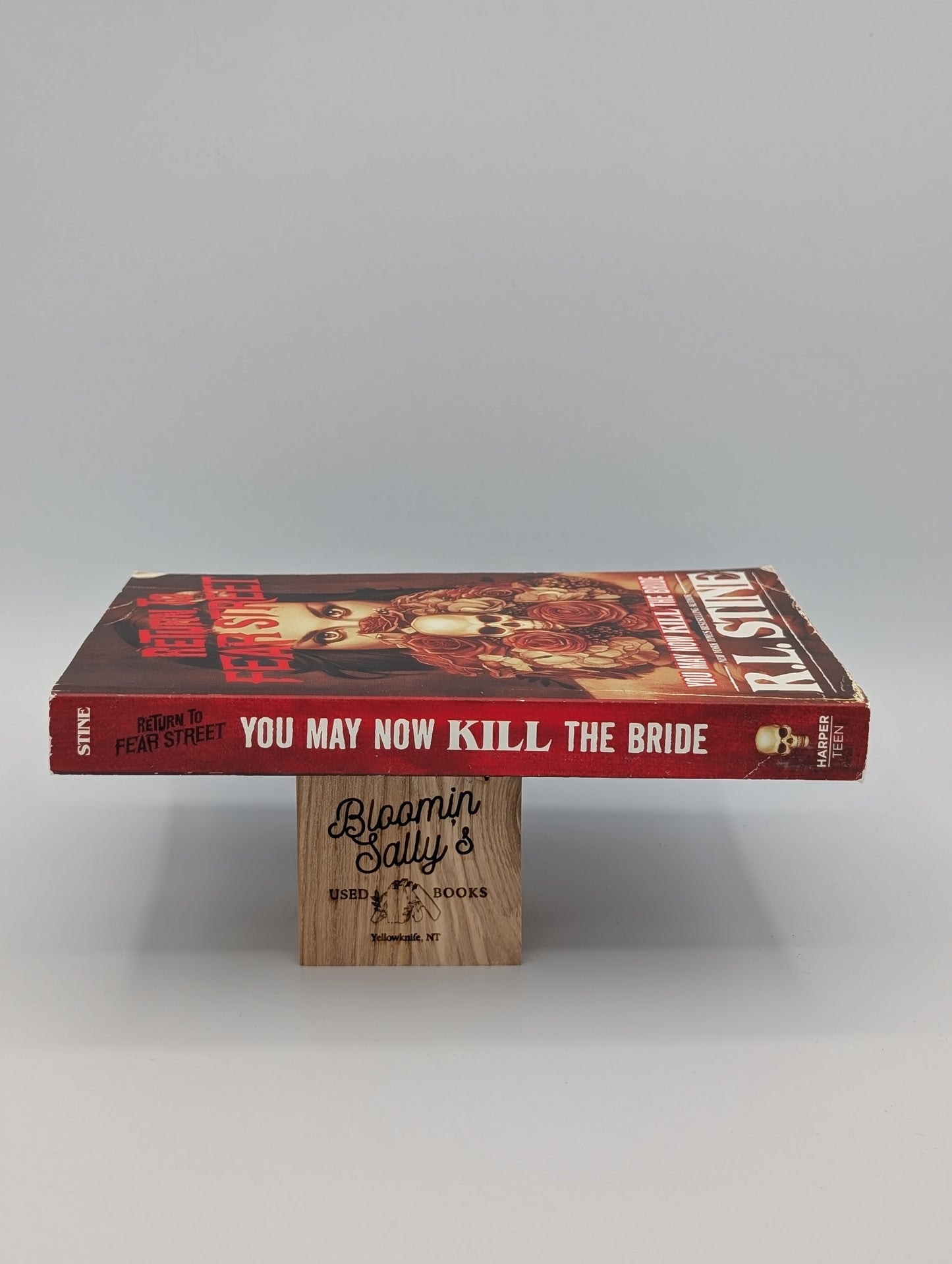 You May Now Kill the Bride (Return to Fear Street, 1)