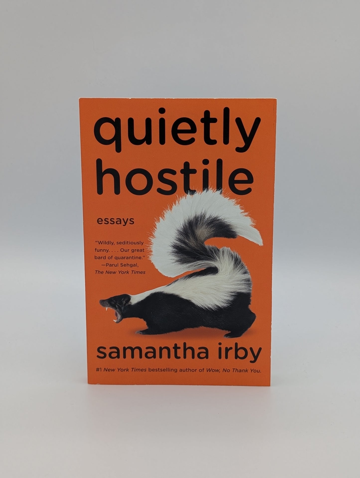 Quietly Hostile: Essays
