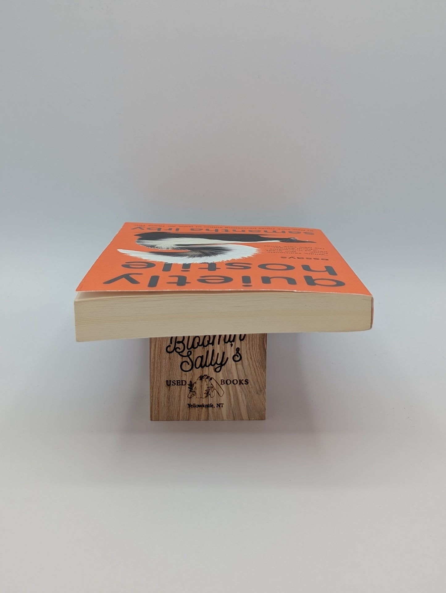 Quietly Hostile: Essays