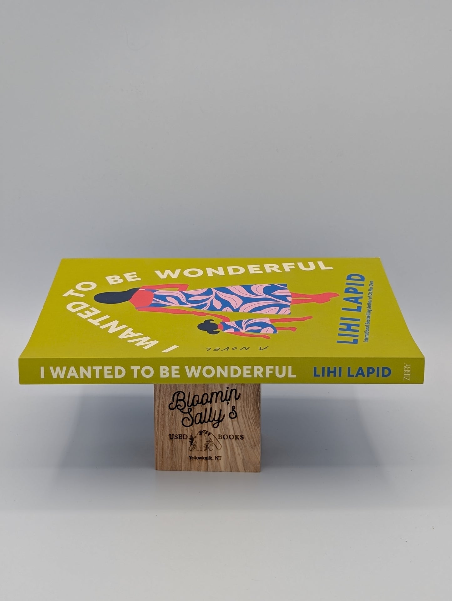 I Wanted to Be Wonderful: A Novel