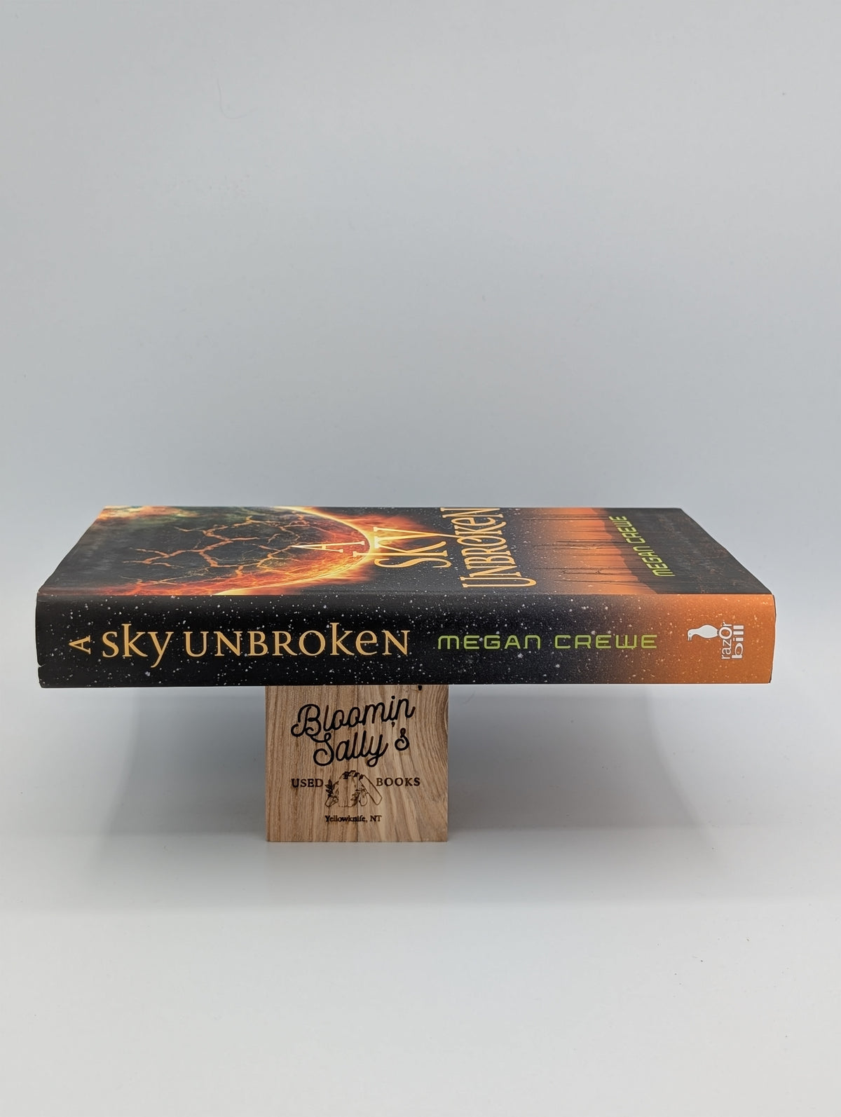 A Sky Unbroken: Earth & Sky Trilogy Book 3