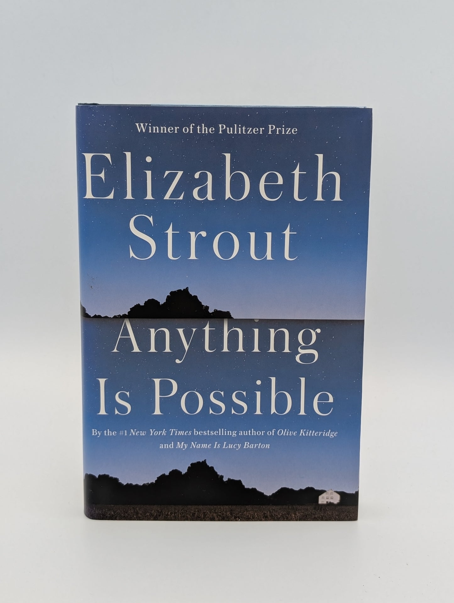 Tout est possible : un roman