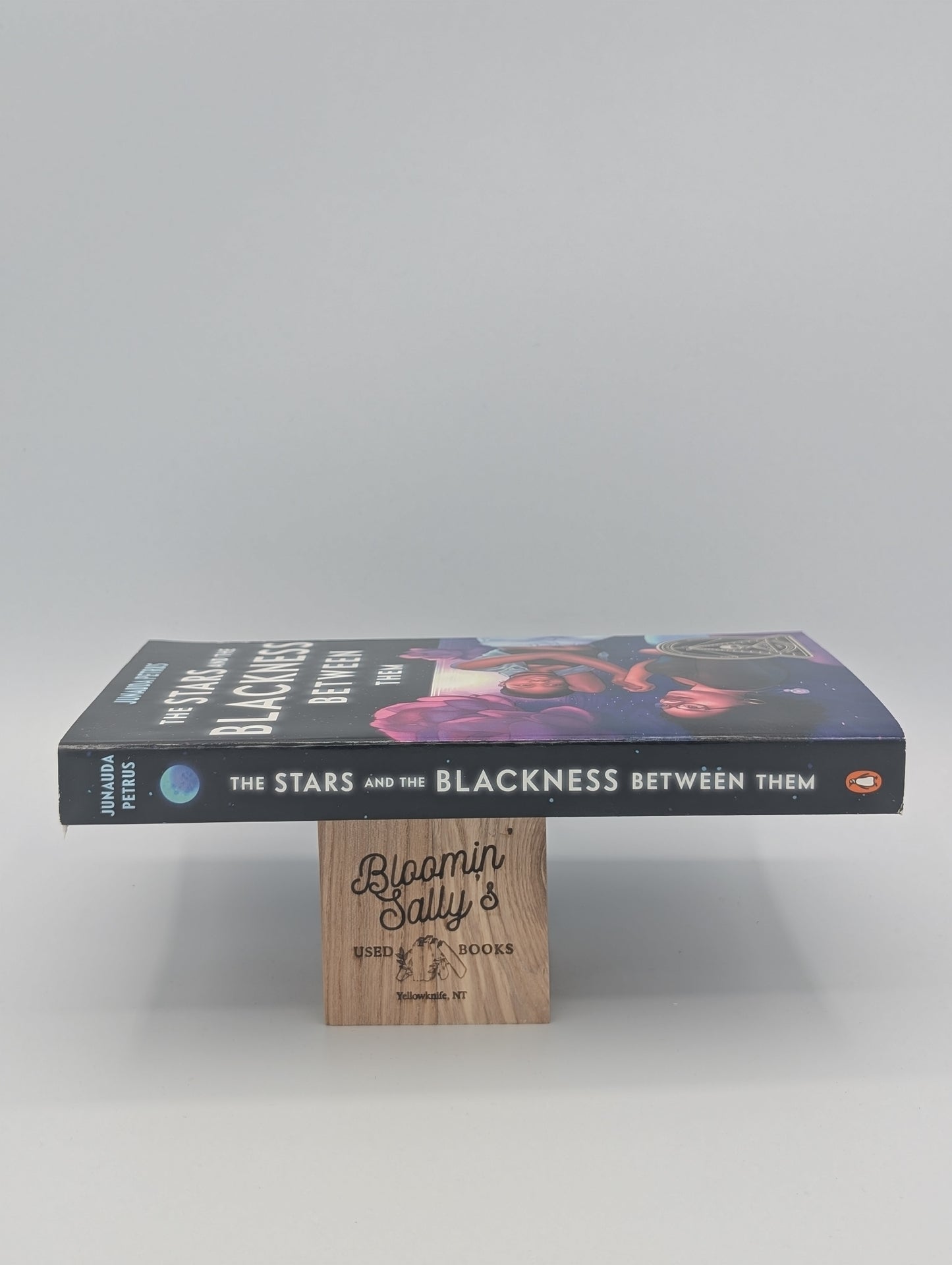 The Stars and the Blackness Between Them