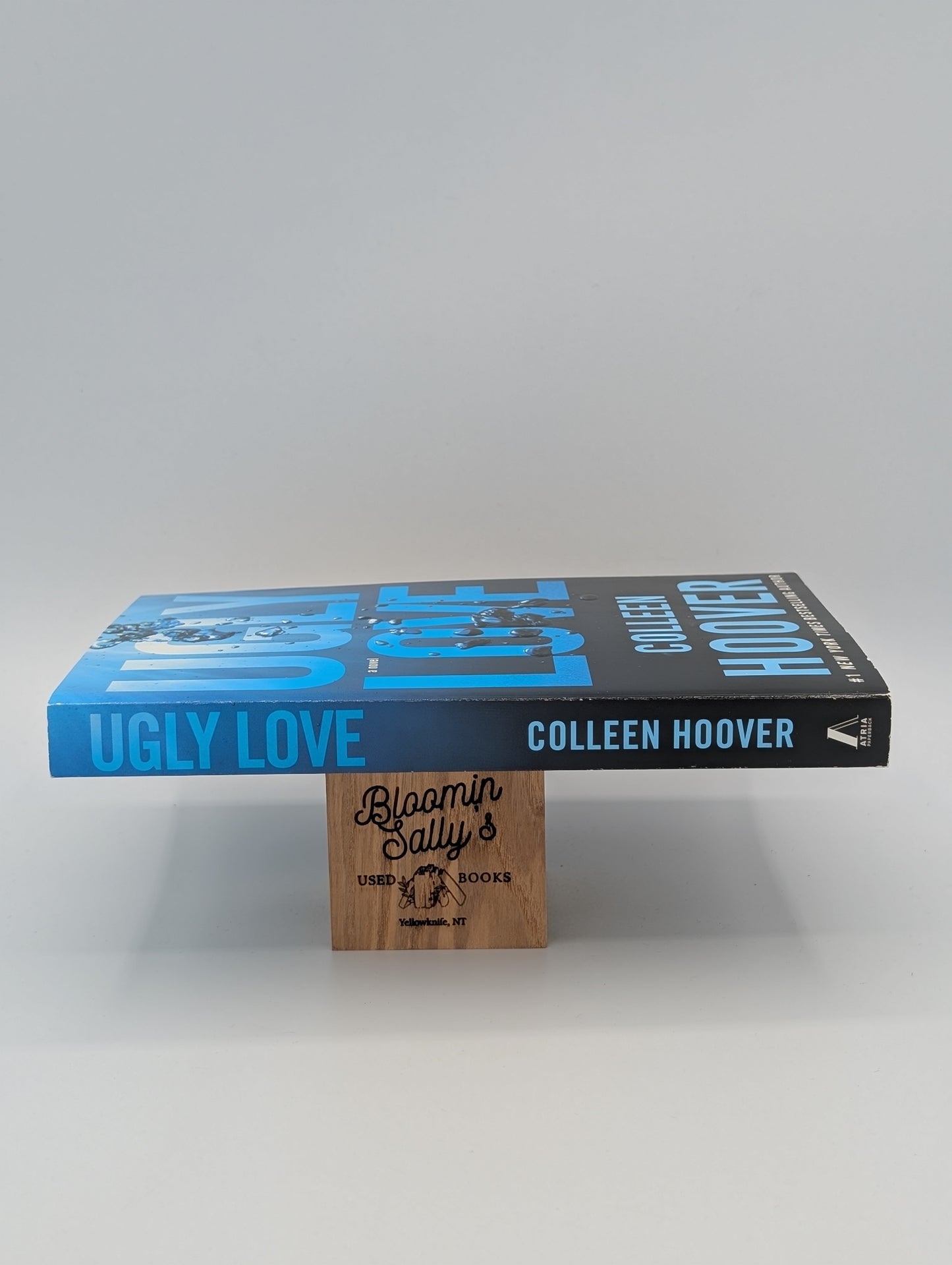 Ugly Love: A Novel