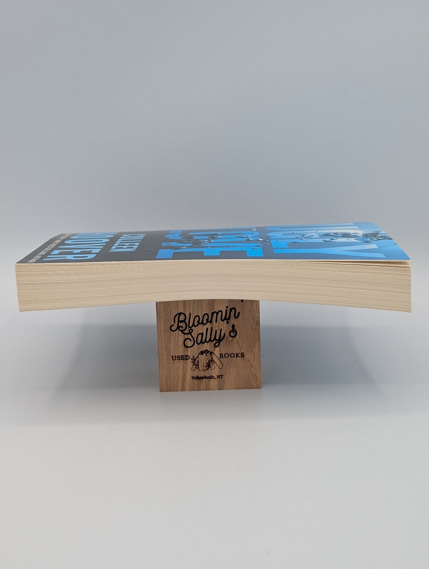 Ugly Love: A Novel