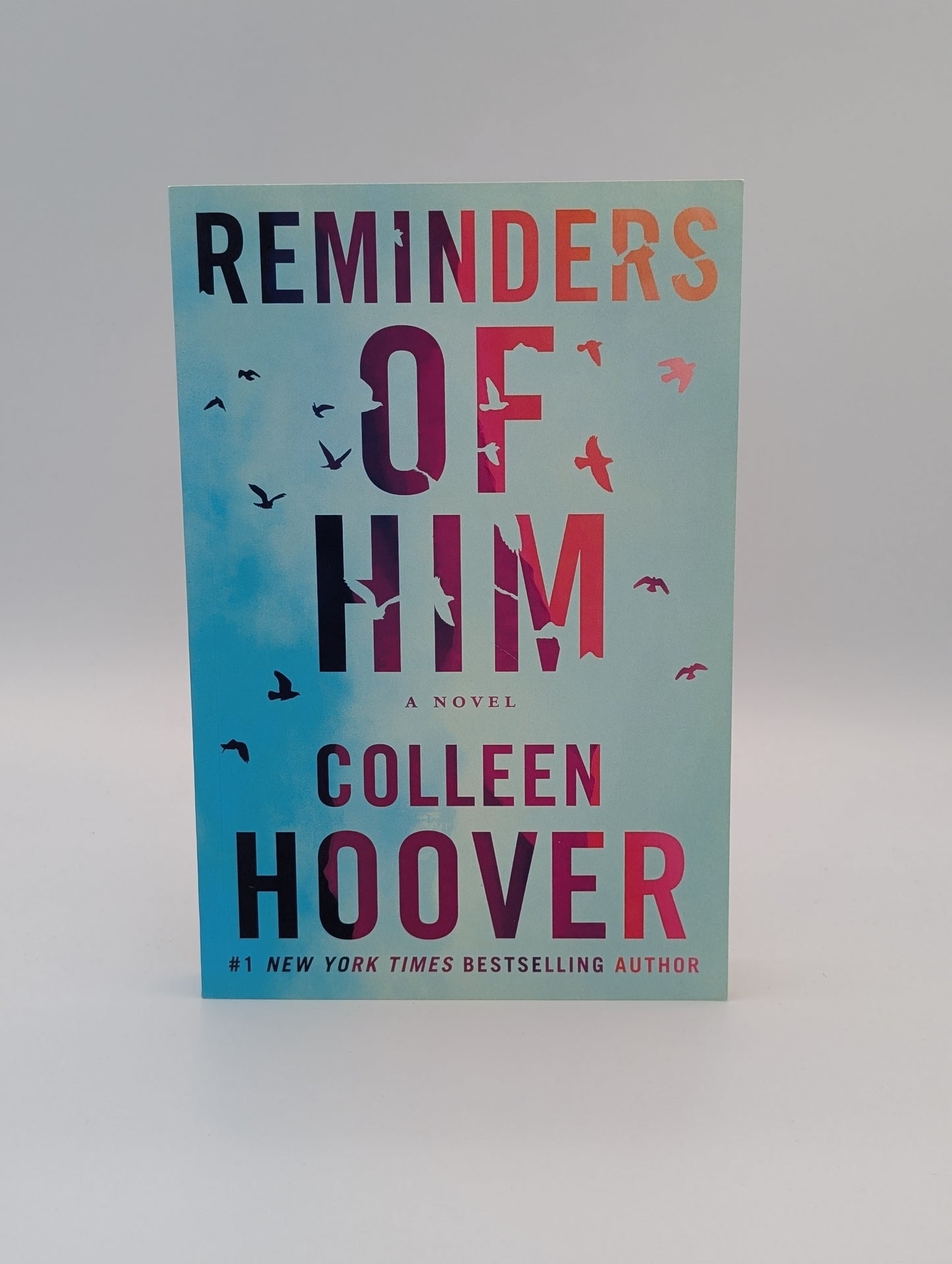 Reminders of Him: A Novel