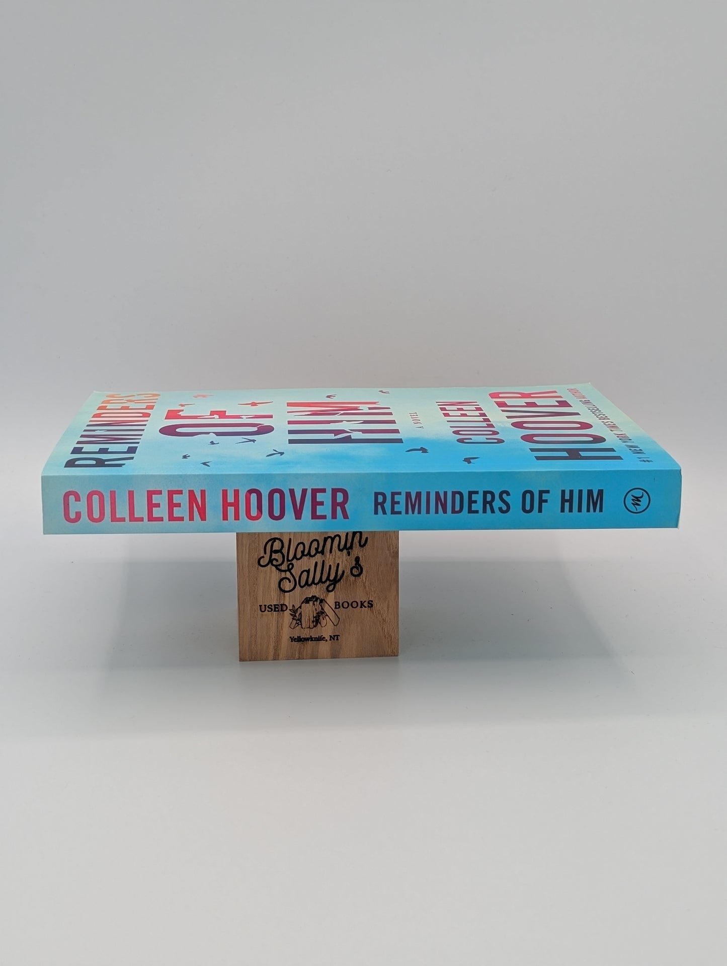 Reminders of Him: A Novel