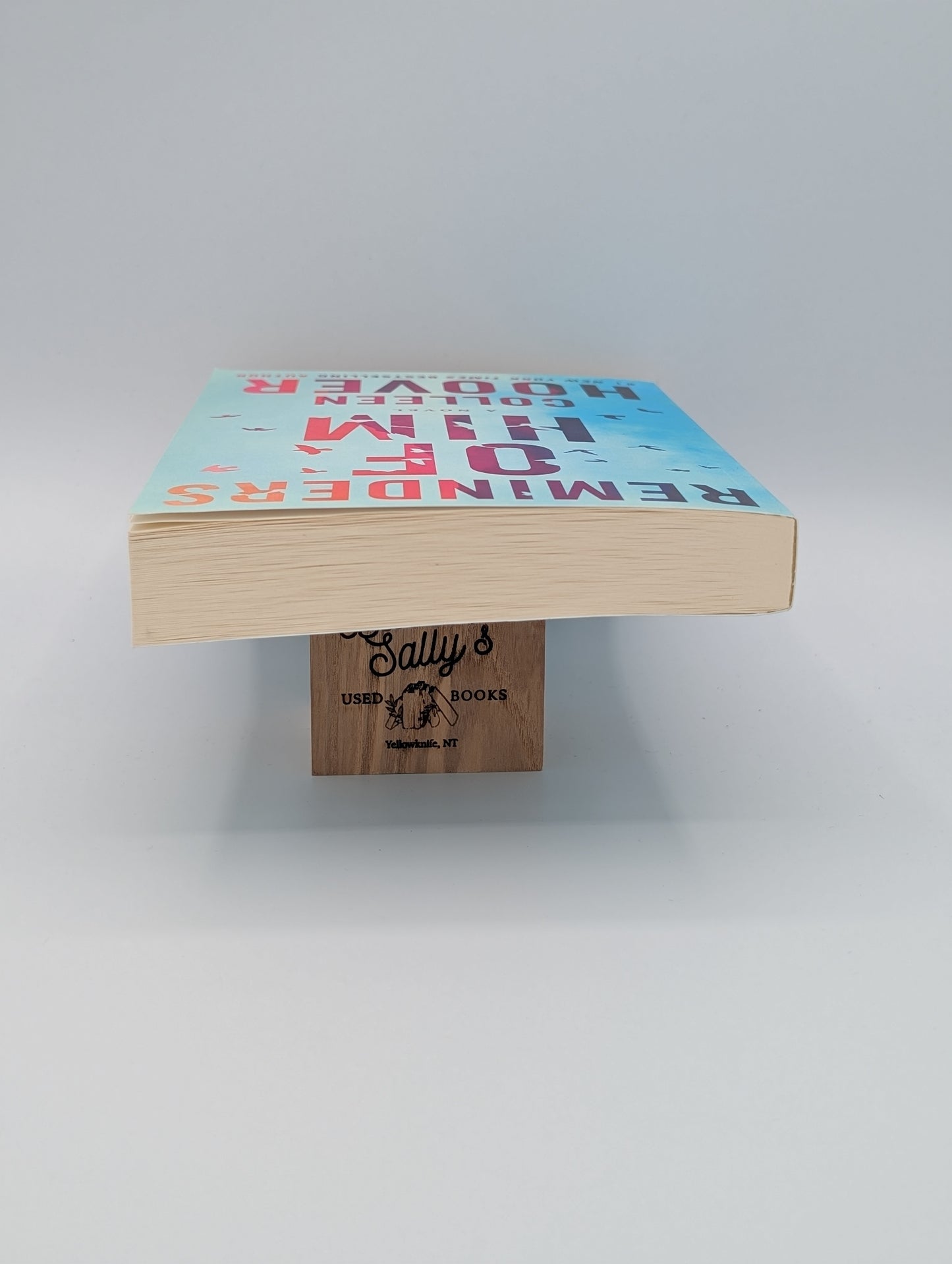 Reminders of Him: A Novel