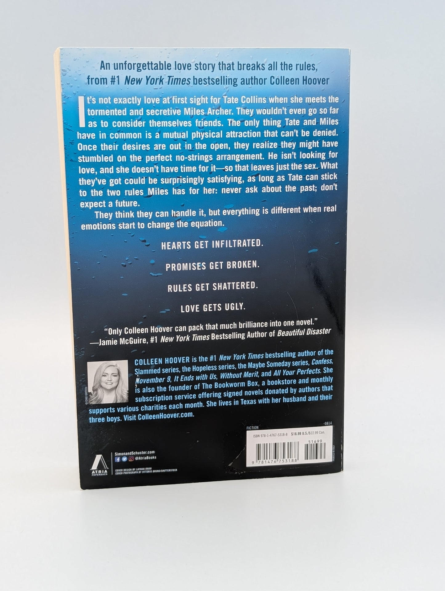 Ugly Love: A Novel (Very Good)