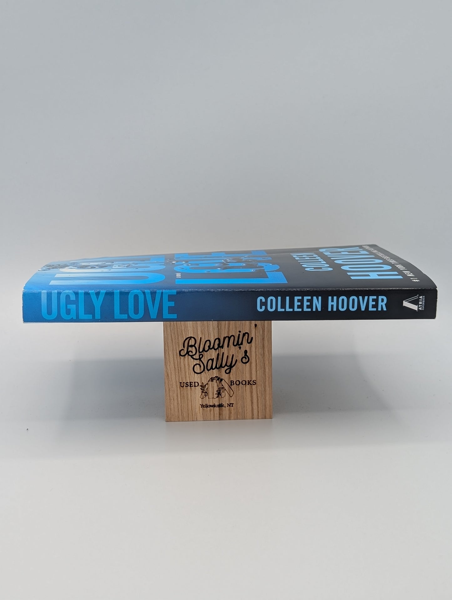 Ugly Love: A Novel (Very Good)