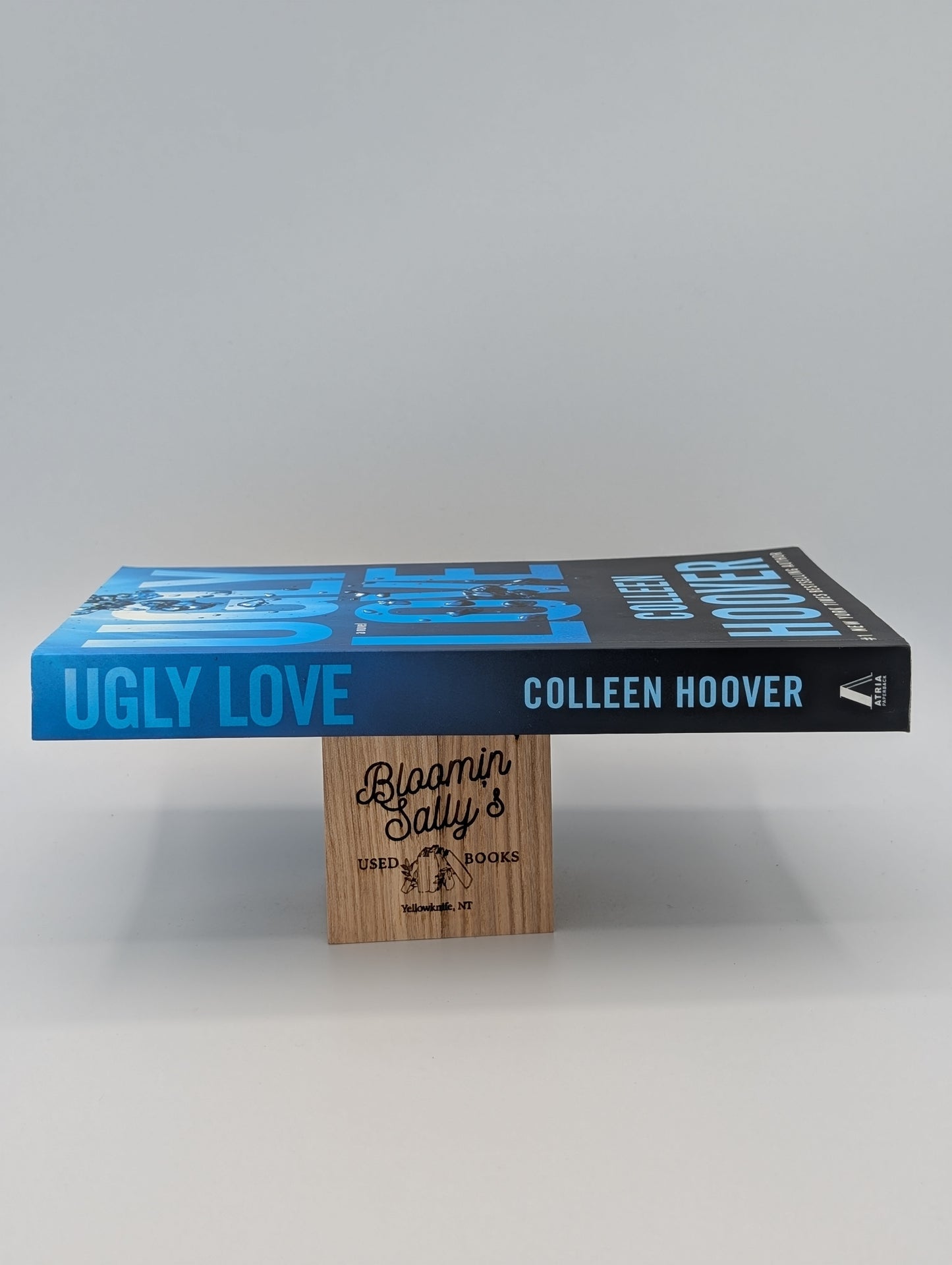 Ugly Love: A Novel (Very Good)