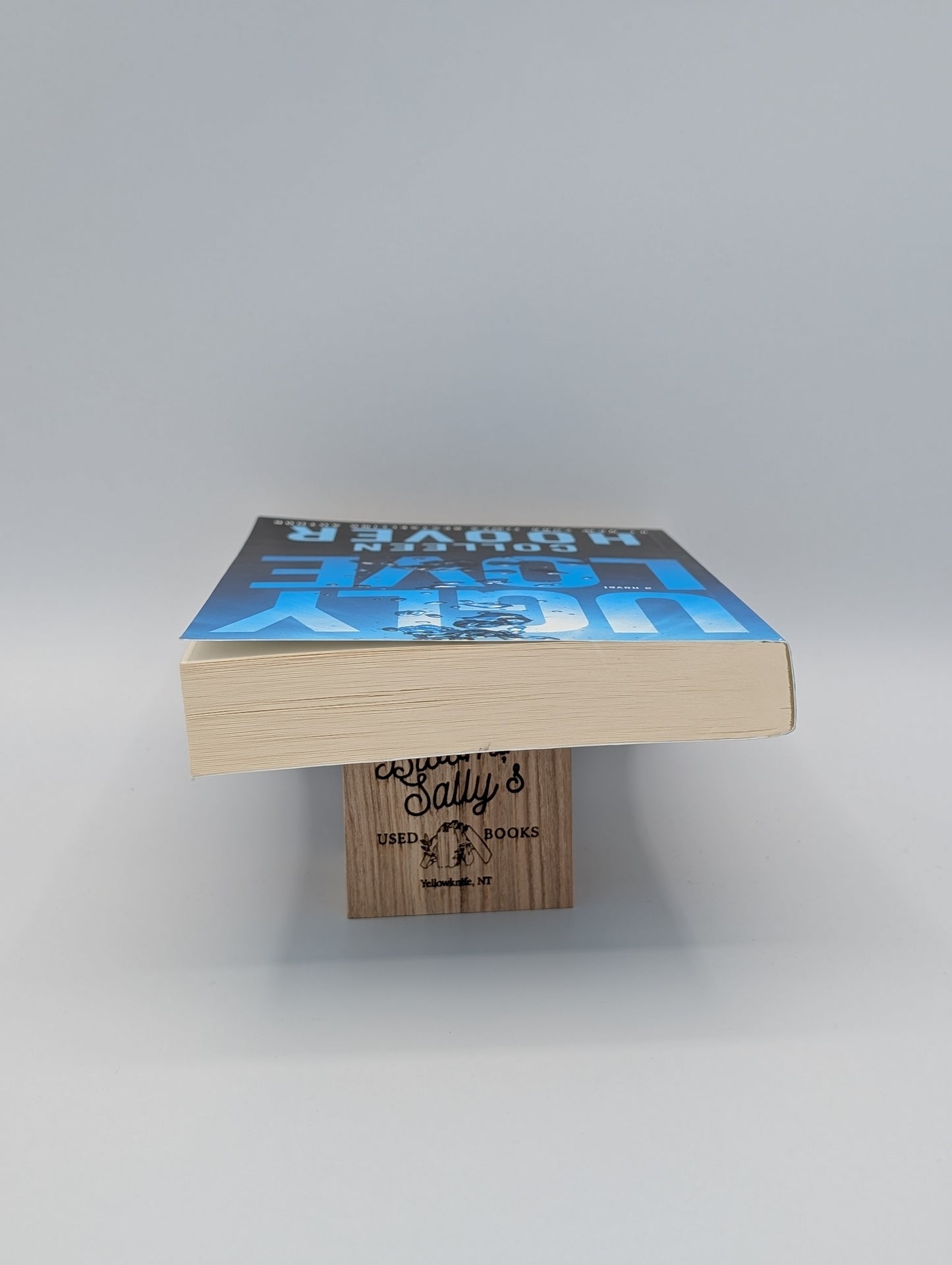 Ugly Love: A Novel (Very Good)