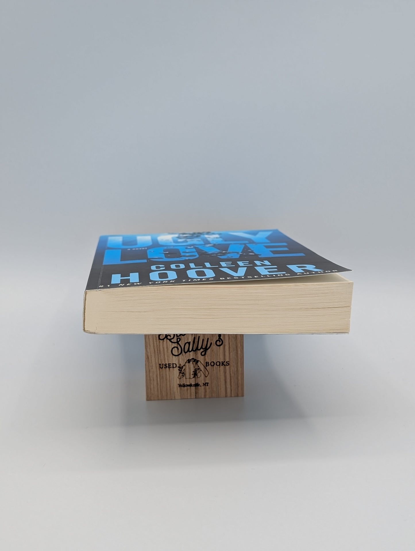 Ugly Love: A Novel (Very Good)