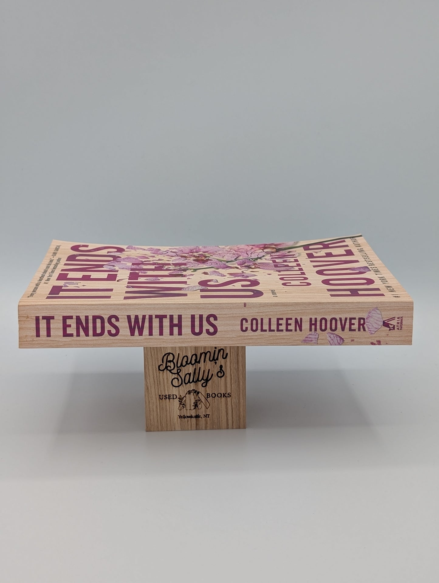 It Ends with Us: A Novel (Very Good)