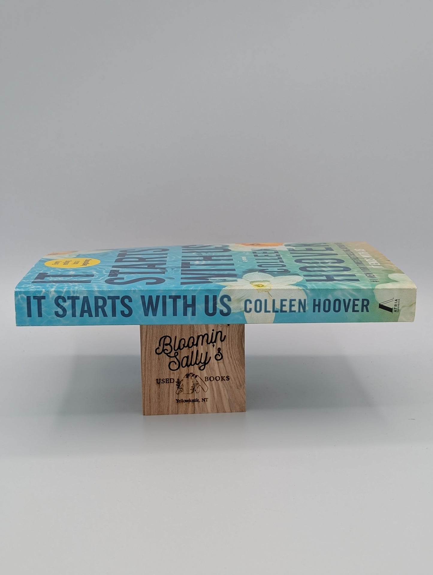 It Starts with Us: A Novel (It Ends with Us)