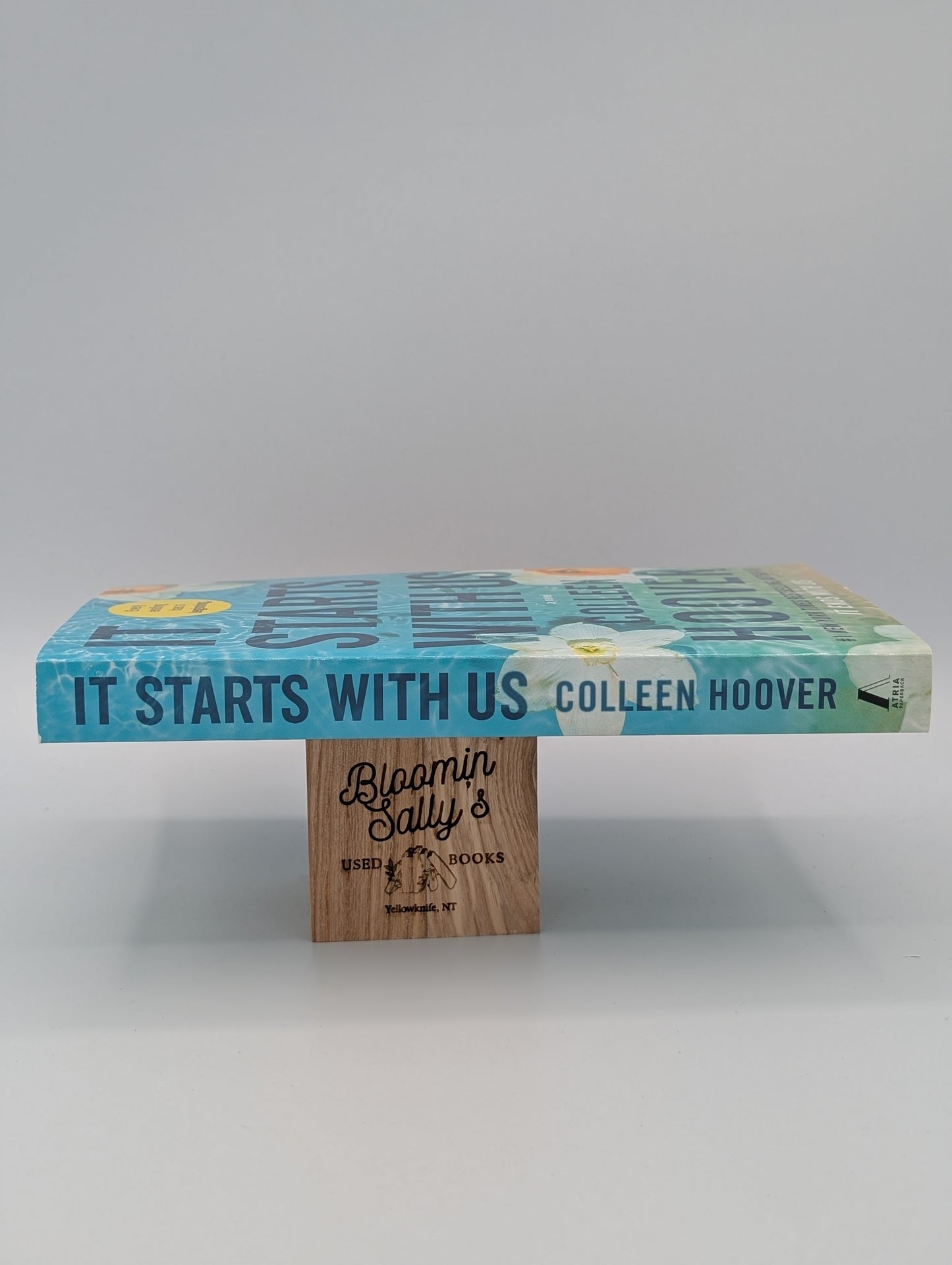 It Starts with Us: A Novel (It Ends with Us)