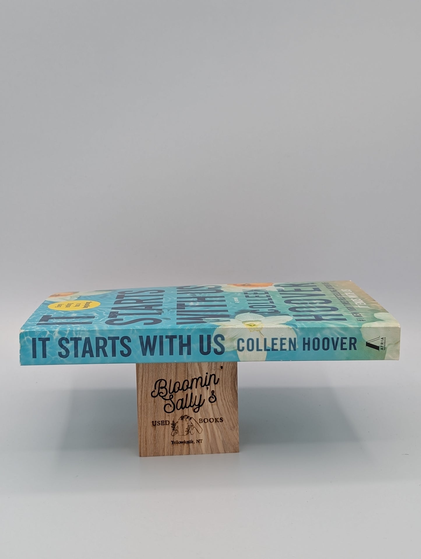 It Starts with Us: A Novel (It Ends with Us)