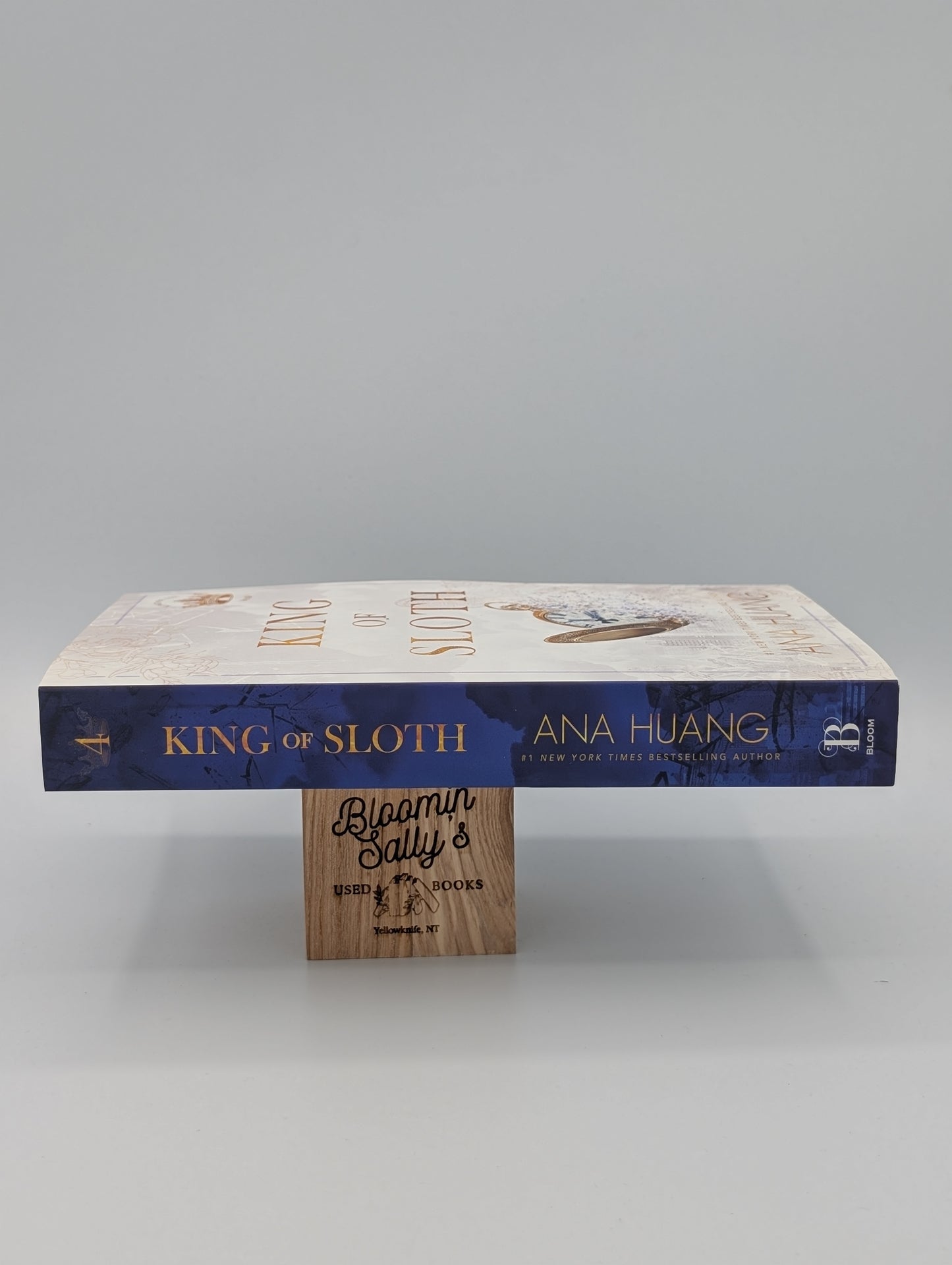 King of Sloth (Kings of Sin, 4)