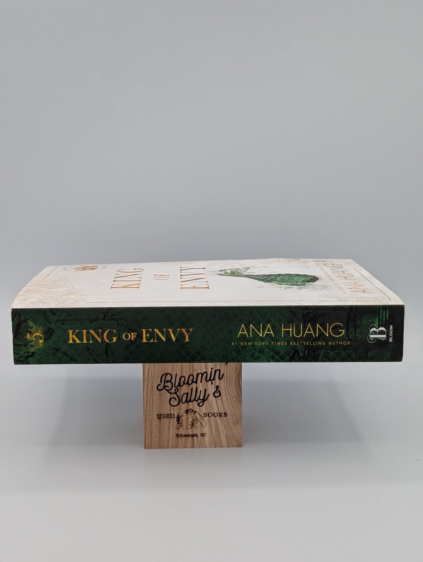 King of Envy (Kings of Sin, 5)