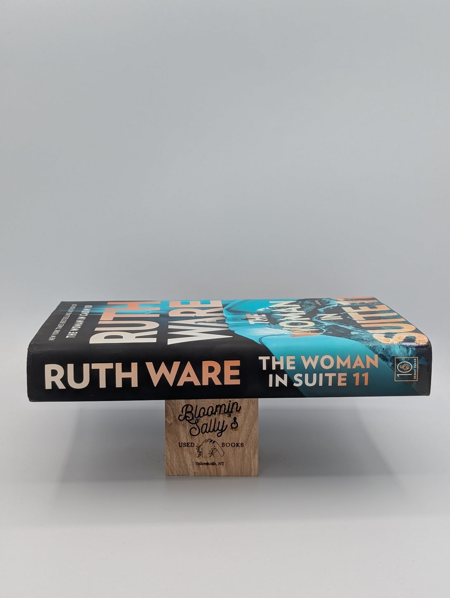The Woman in Suite 11: A Novel